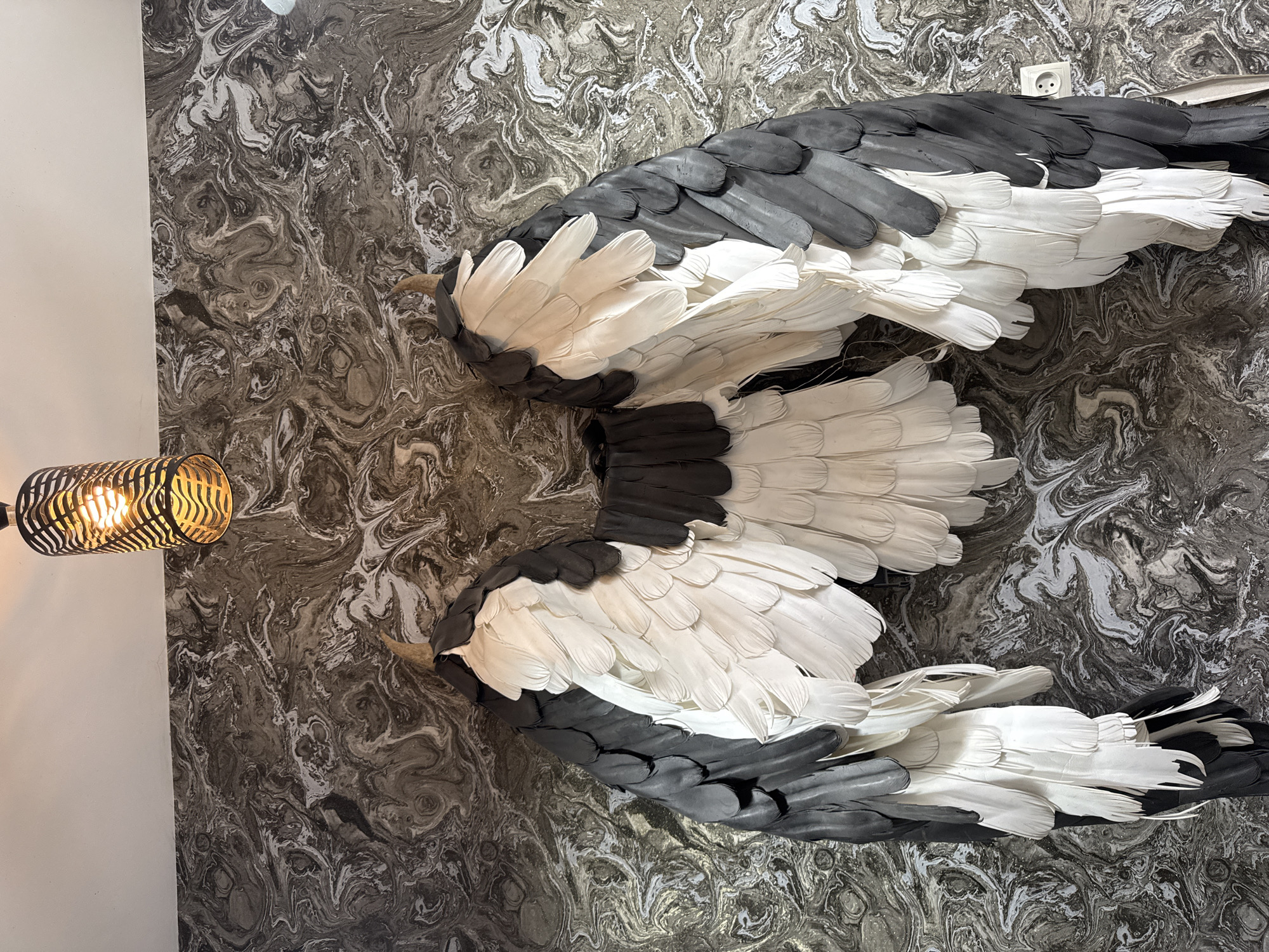 The image shows a decorative display of stylized bird wings mounted on a wall with a marble-like pattern. The wings are made of individual white and gray feathers, arranged to give a realistic impression of plumage. The display is lit by a black and gold patterned lamp on the left side of the image. A white wall is visible on the left side. A white electrical outlet is visible. The image was taken indoors. I have no evidence this image was taken in Chaikovsky, Russia.