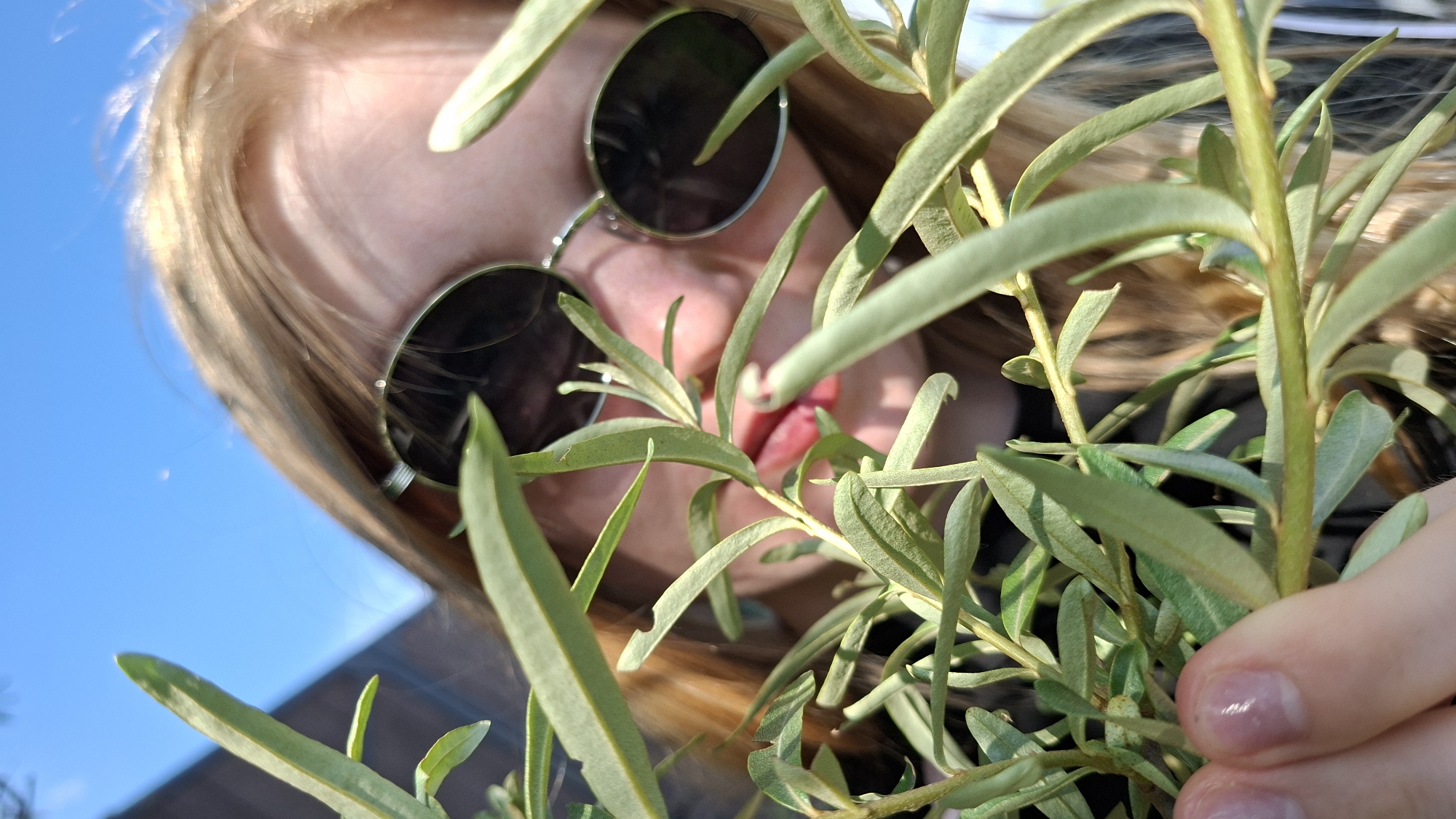 A close-up, low-angle, first-person perspective shot shows a person wearing round, reflective sunglasses peering through green foliage. The background is a bright blue sky with a hint of a dark building on the left. The person's blonde hair is visible, and their lips are slightly parted. A thumb and forefinger are visible in the lower left corner, holding some of the foliage. The image appears to be taken outdoors, likely in a park or garden setting. There is no indication of the city of Большой Букор, Russia, within the image.