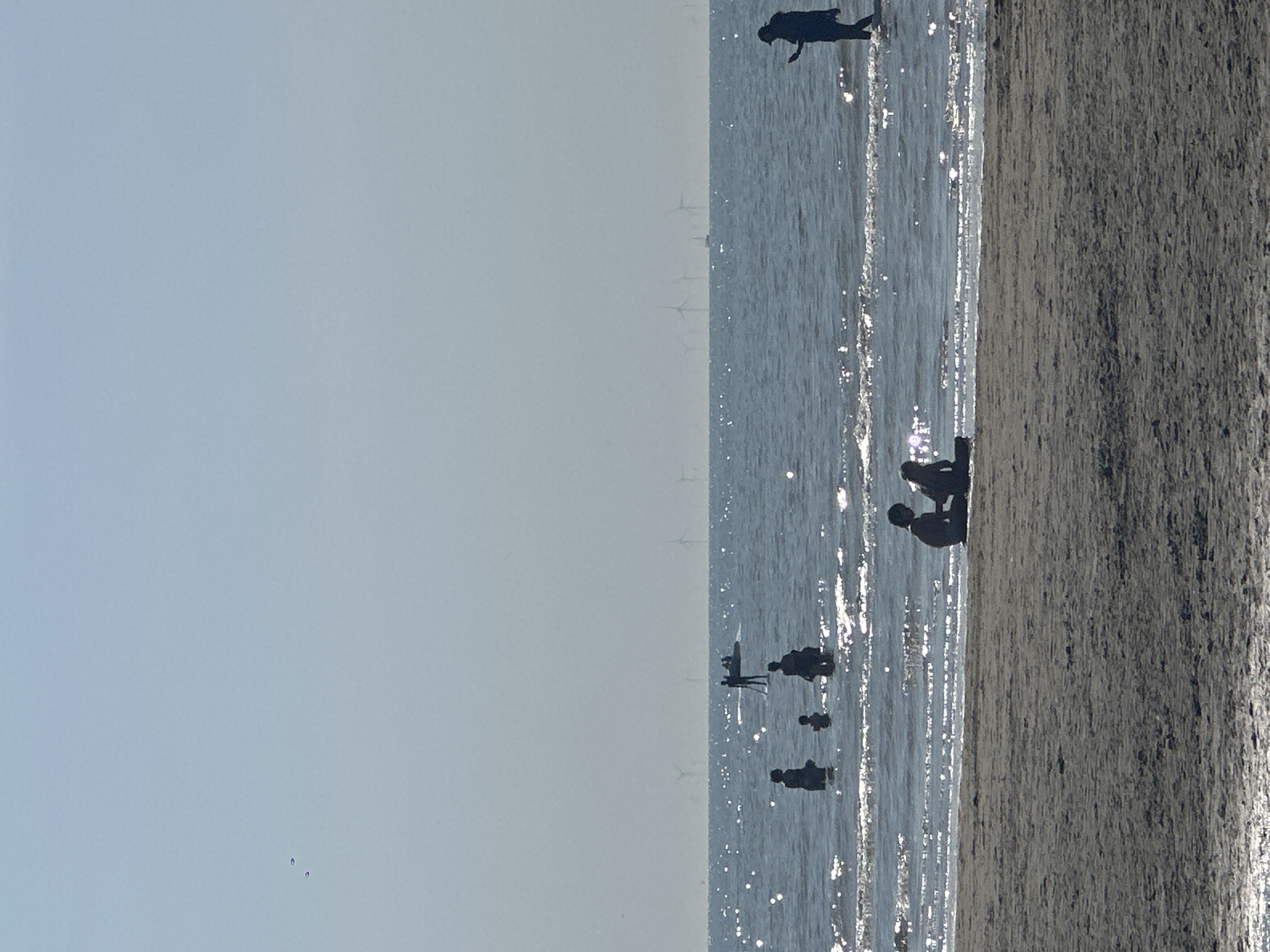 This is a medium shot, taken on a sunny day, of the beach and sea at Zandvoort, Netherlands. In the foreground, a sandy beach is visible. In the middle ground, the sea is calm and reflects the sunlight, with several groups of people wading or standing in the shallow water. In the background, a faint line of wind turbines can be seen on the horizon, indicating the presence of an offshore wind farm. The sky is clear and pale blue. Two small birds are flying in the upper left corner of the image.