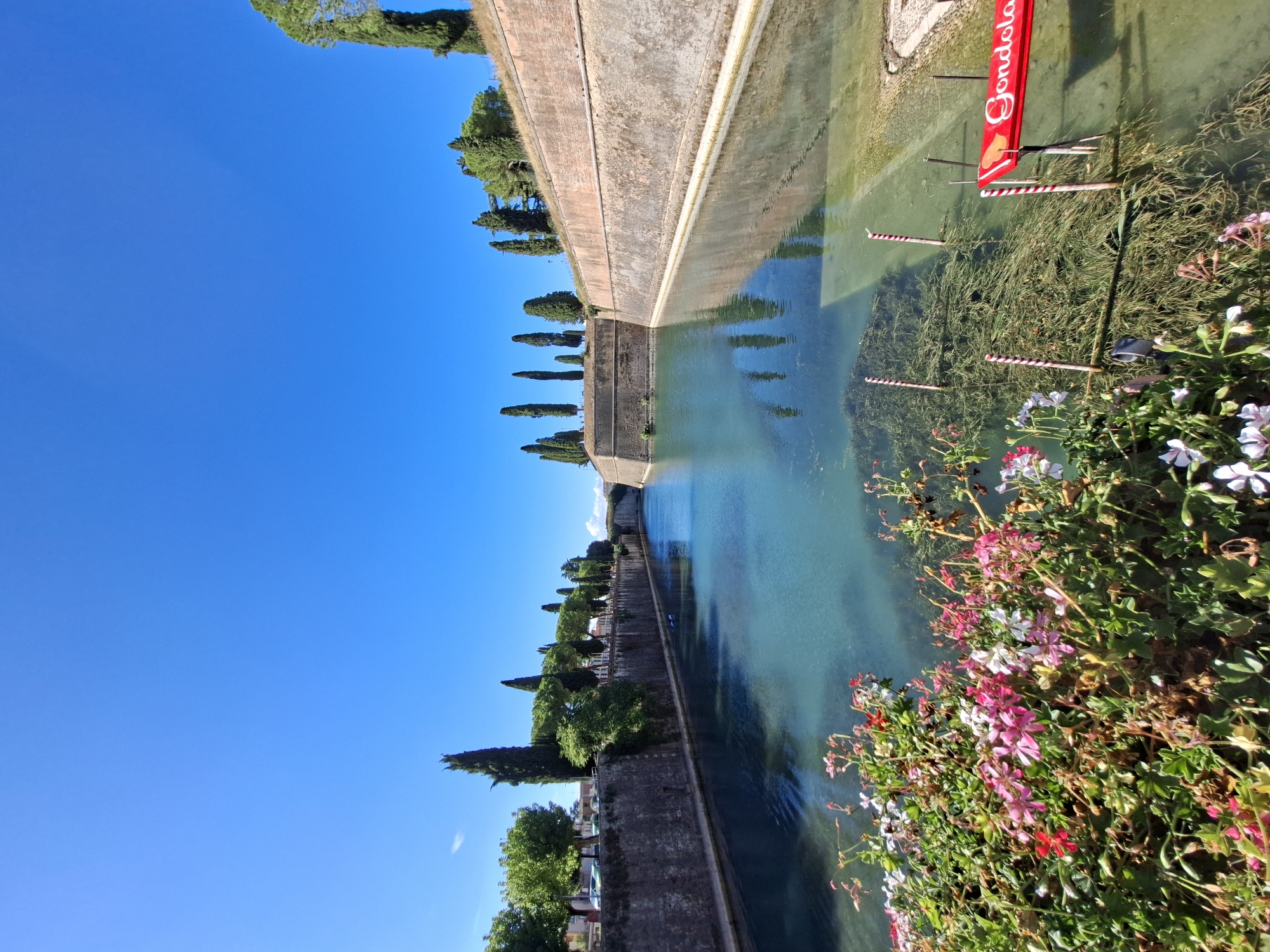 This image depicts a canal in Peschiera del Garda, Italy, likely within the Venetian defenses, a UNESCO World Heritage site. The canal is flanked by substantial stone walls, characteristic of fortifications. The water is clear and a vibrant turquoise hue, with submerged vegetation visible. In the foreground, a lush arrangement of pink and white flowers adds a touch of natural color to the scene. Across the canal, more trees and cypress-like evergreens line the walls. In the water, several striped poles and a red sign with the word "Gondola" indicate a possible tourist attraction or a boat mooring. The sky is a brilliant, cloudless blue, suggesting a sunny day.