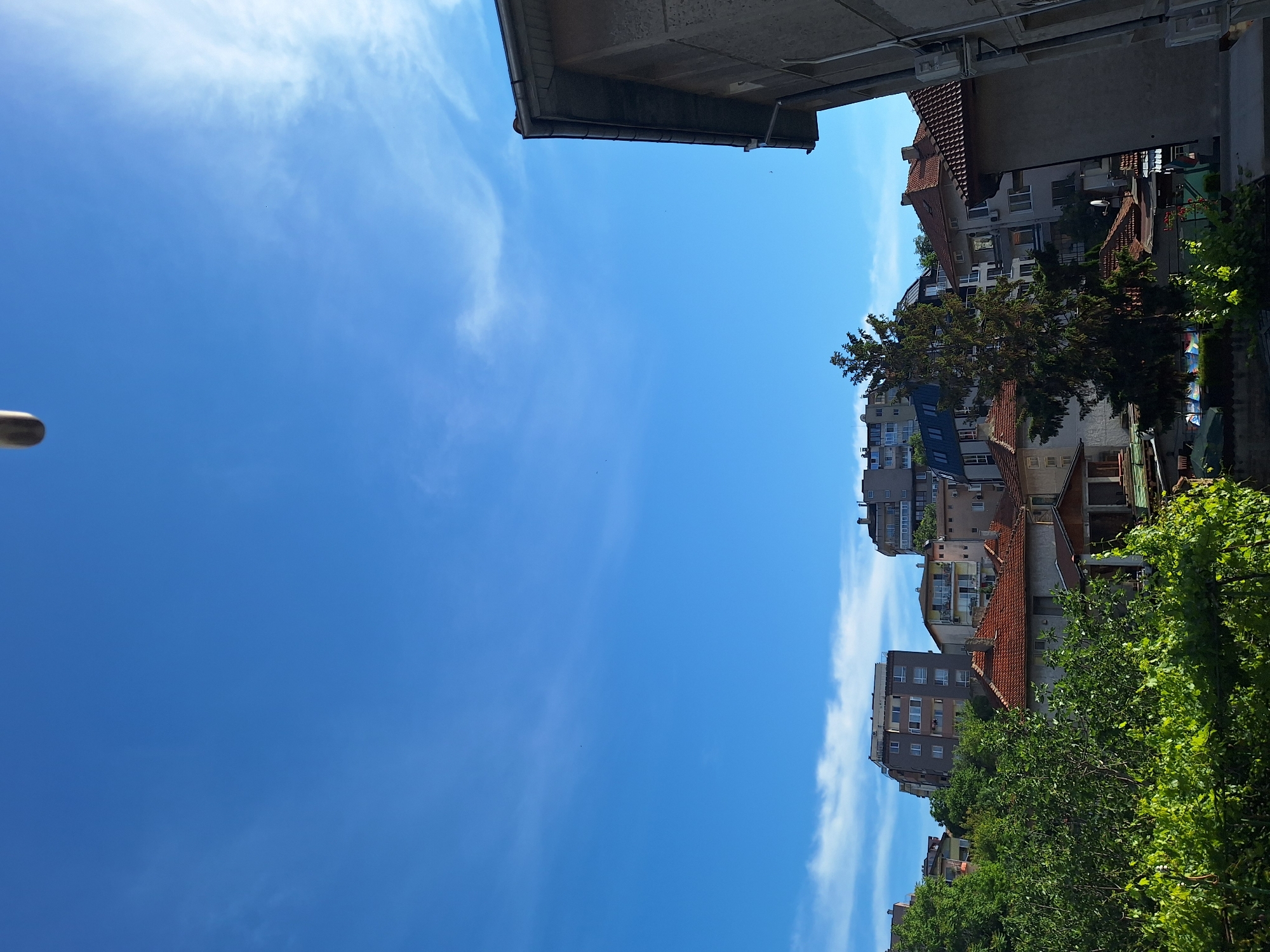 The image captures a view of residential buildings and greenery under a clear blue sky, with wispy clouds. The architecture suggests a European urban setting, likely Varna, Bulgaria, given the context. In the foreground, lush green foliage, possibly from trees or vines, partially obscures the view of rooftops. Several buildings of varying heights are visible, some appearing to be apartment complexes with multiple stories and balconies, while others are smaller houses with terracotta tiled roofs. A tall, slender evergreen tree stands out amidst the buildings. The scene is bathed in natural daylight, indicating it was taken during the day. The overall impression is one of a typical residential neighborhood.