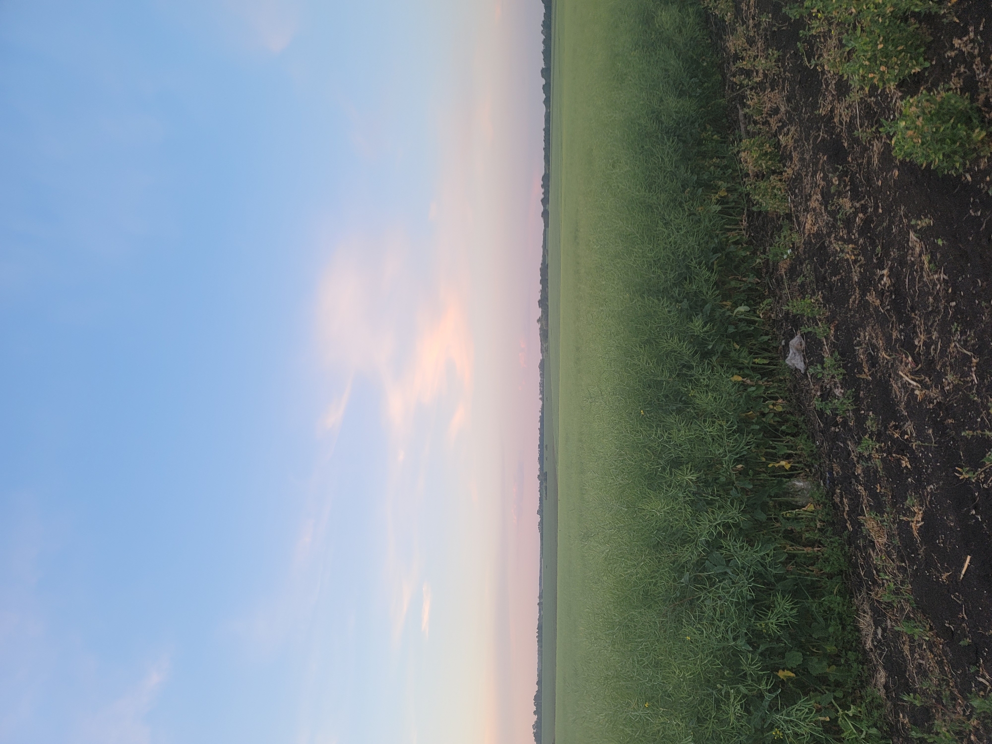 The image depicts a rural landscape in Vovkivka, Ukraine, at dusk. The sky is a gradient of soft blues and pinks, with wispy clouds. A vast, verdant field of crops dominates the lower two-thirds of the frame, stretching towards a distant tree line. The foreground shows a patch of dark, tilled soil with some sparse vegetation and debris, including a plastic bag. The overall scene is tranquil and natural, with no people or animals visible.