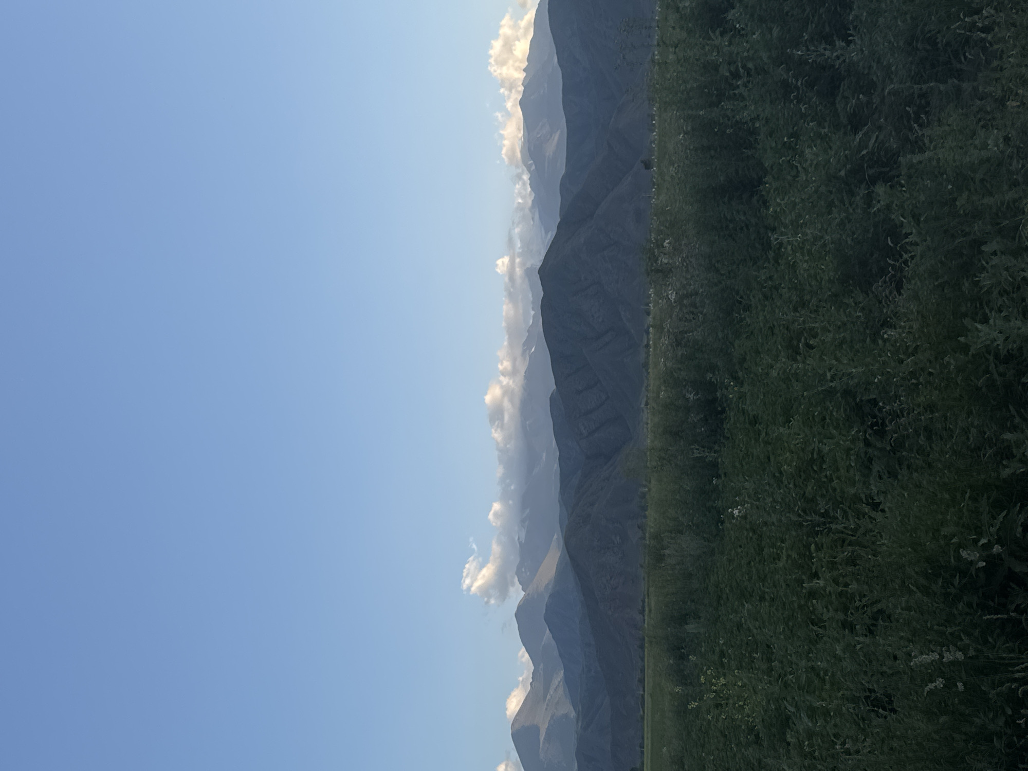 A wide shot shows a vast, dark green field of vegetation in the foreground, reaching up to a line of dark, layered mountains in the middle ground. The mountains are rugged and appear to have some snow or bright patches on their upper slopes. A clear, pale blue sky with a few wispy white clouds stretches across the top of the image. The scene appears to be a natural landscape, possibly taken during daytime, with no human presence visible. The overall impression is one of natural beauty and tranquility. The location is the Bökönbaev village in Kyrgyzstan.