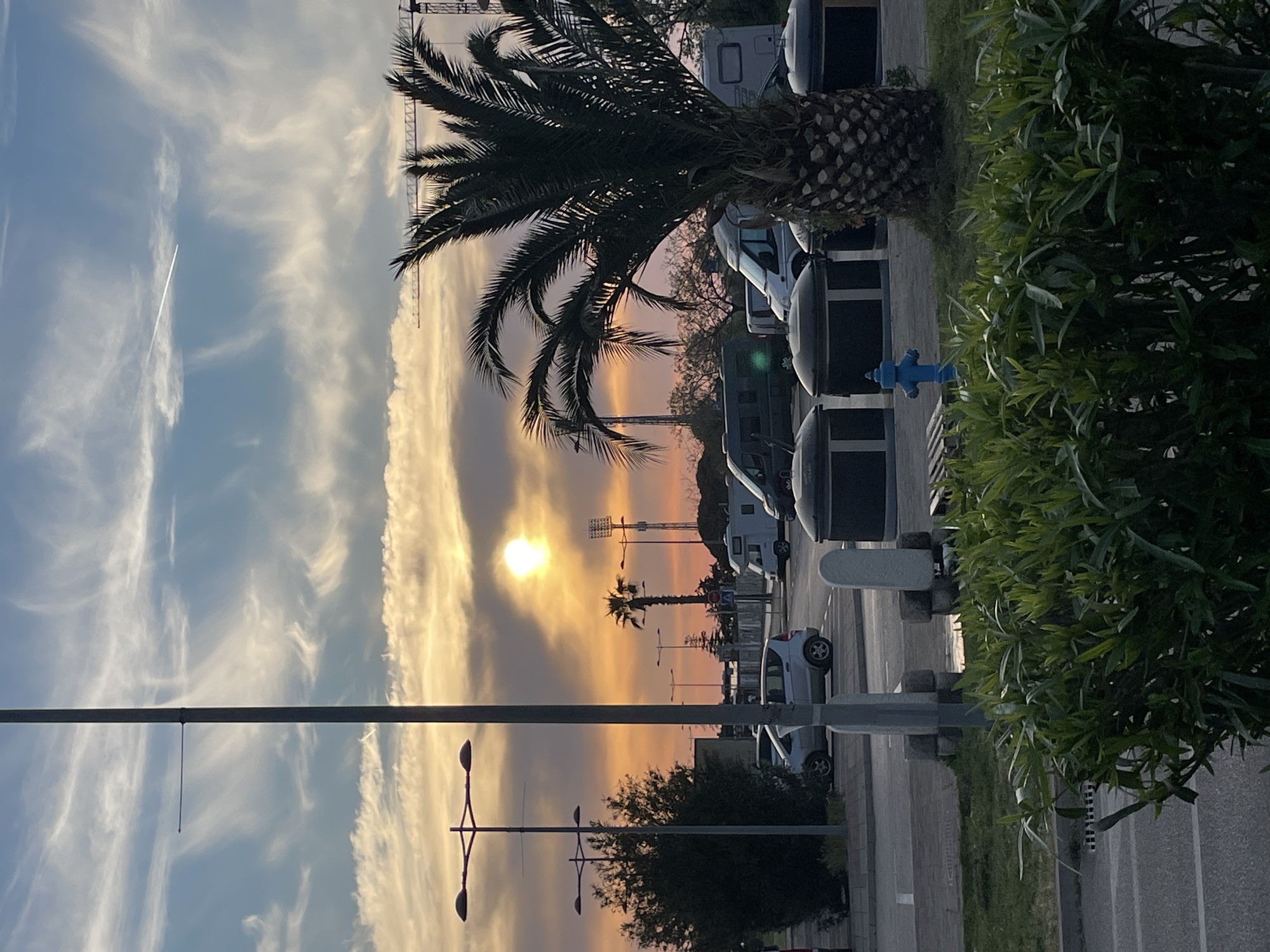 The image depicts an outdoor scene in Bar, Montenegro, likely at sunset. A tall palm tree dominates the right of the frame, with another smaller palm tree visible in the distance near the center. A row of parked cars and camper vans lines the road behind the first palm tree. A blue fire hydrant is visible near the foreground. Streetlights are placed along the roadside. In the background, a construction crane is visible against the bright, sunlit sky, streaked with clouds.