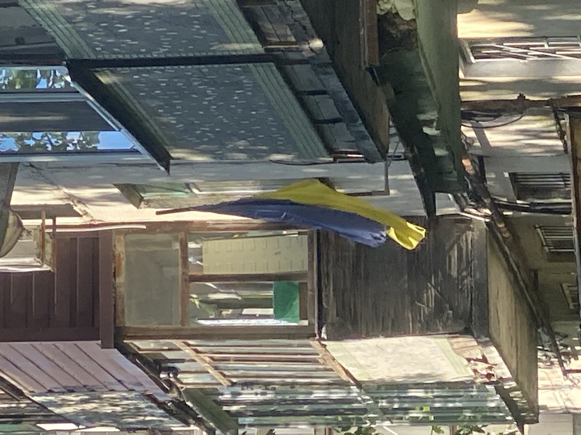 The image depicts an outdoor scene, likely a residential or semi-industrial area in Poltava, Ukraine, given the presence of the Ukrainian flag. The environment appears somewhat dilapidated with weathered structures and exposed framework. A building in the foreground has aging wood paneling. The image orientation seems upside down. A Ukrainian flag hangs from the structure.
