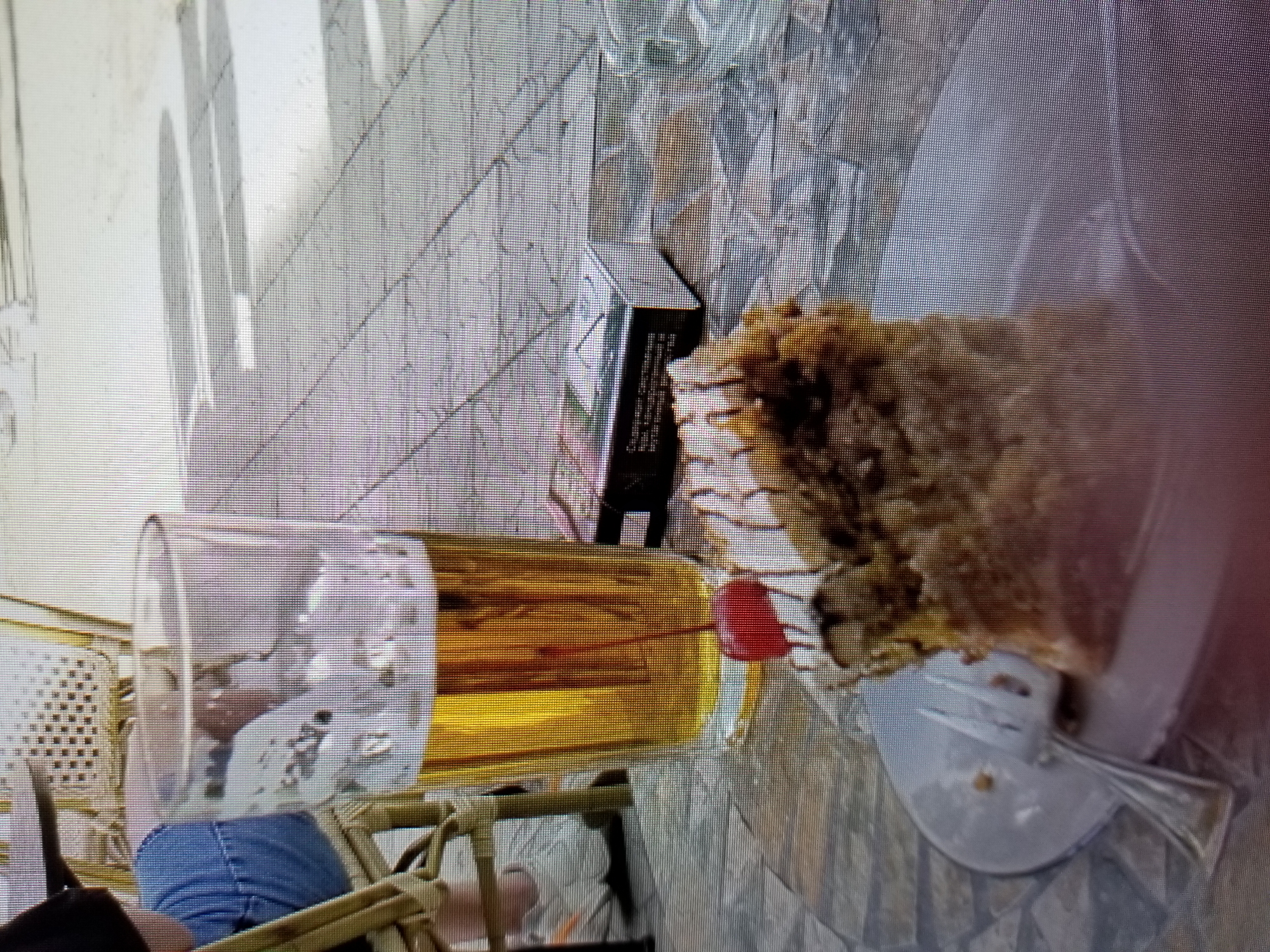A medium shot, taken at eye level, shows a piece of cake with a cherry on top, a glass of beer, and a pack of cigarettes on a patterned outdoor table. The table is made of a mosaic of light and dark tiles. In the background, a person wearing a blue denim jacket is sitting on a chair with a wicker backrest. The ground is paved with similar tiles. The image appears to be taken on a sunny day, with shadows cast on the ground. The overall scene suggests a casual outdoor setting, possibly a cafe or restaurant. The location is identified as Tiraspol, Moldova.