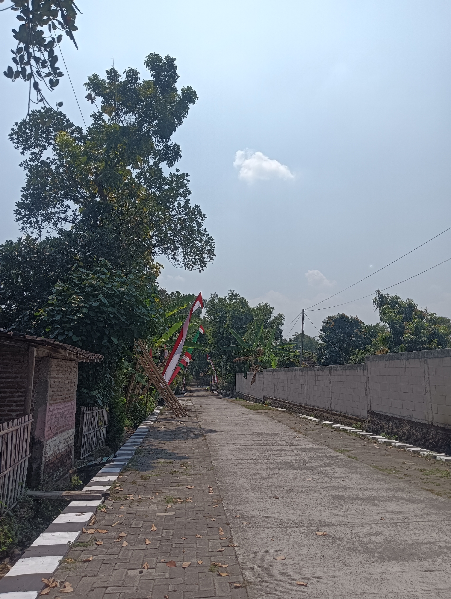 This image depicts a rural road in Tanggan, Indonesia, on a clear day with a few scattered clouds. The road, paved with concrete and bordered by brick paving on the left, stretches into the distance. On the left side of the road, a small brick structure with a wooden roof is visible, along with a white-barred fence. Several Indonesian flags, red and white, are displayed on bamboo poles along the side of the road, suggesting a local celebration or national holiday. Lush green trees and foliage line both sides of the road. A tall brick wall constructed from concrete blocks forms the right boundary of the scene. The environment appears dry, with fallen leaves scattered on the pavement. No people are present in the image.