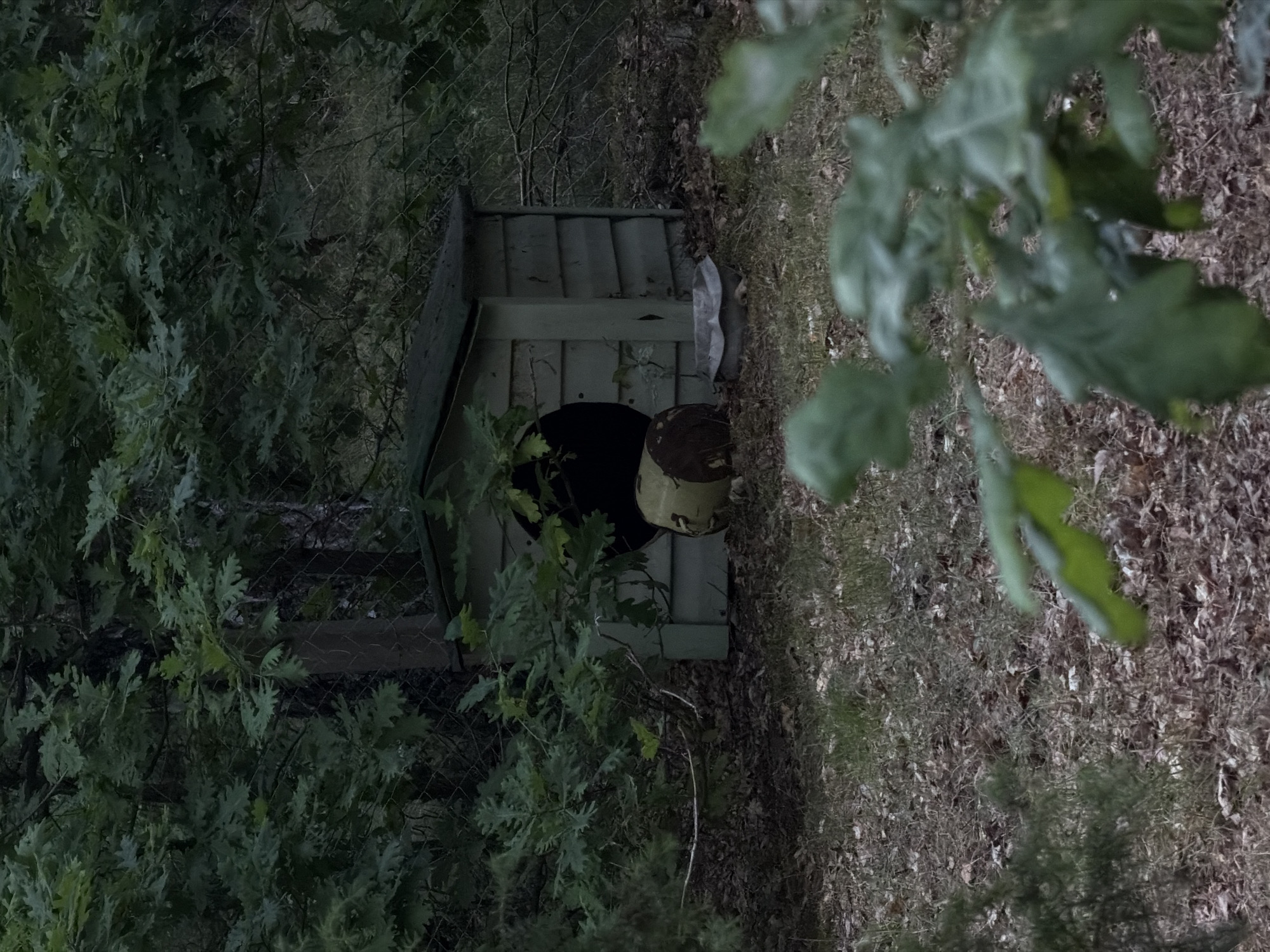 The image shows a light green, wooden doghouse in a forested area. The doghouse has a circular entrance and appears to be old and weathered, with visible planks and some peeling paint. Beside the doghouse, to the left, is a large, round, metallic object, possibly a barrel or tank, with a rusty brown color. In front of the doghouse is a shallow, gray, metallic bowl or tray. The ground around the doghouse is covered with dry leaves and some grass. The background is dense with trees and foliage, suggesting a natural or semi-wild environment. A chain-link fence is partially visible behind the doghouse and trees. The scene is dimly lit, indicating it could be dusk or a heavily shaded area. The location is identified as Raktinitski Sel'ski Savet, Belarus. There are no people or animals visible in the image.