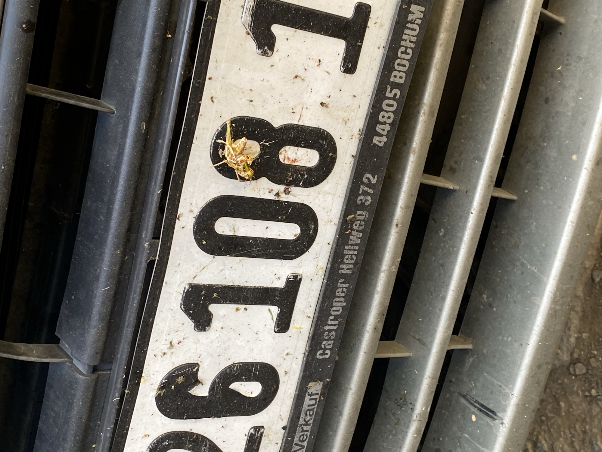 A close-up, slightly angled, eye-level outdoor shot shows a dirty license plate mounted on a vehicle's grille. The license plate is white with black numbers and text. The visible portion of the license plate reads "26108 1" followed by smaller text that includes "Verkauf", "Castroper Hellweg 372", and "44805 BOCHUM". A dead insect is positioned on the number "8". The grille is black plastic and appears dusty. The lower part of the image shows a silver-colored bumper with horizontal slats, also dusty and with some debris. The background is dark and out of focus. There is no visible indication that this scene is located in Baraki, Algeria.