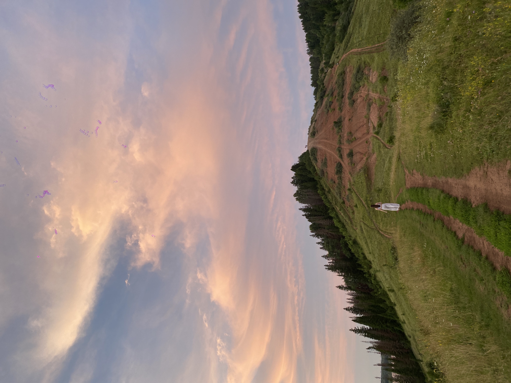 An aerial view of a young woman with long dark hair, wearing a white outfit, walks along a dirt path on a grassy hillside. The path winds its way up a reddish-brown hill dotted with green vegetation and crisscrossed by numerous smaller trails. The hill is bordered by a dense forest of dark green pine trees. In the distance, the sky is painted with soft hues of pink, orange, and blue, with wispy clouds stretching across the horizon. There are a few small figures on the crest of the hill, suggesting other people are present. The scene appears to be located in or near the village of Olkhovka, Russia, known for its scenic landscapes. The overall atmosphere is serene and picturesque.
