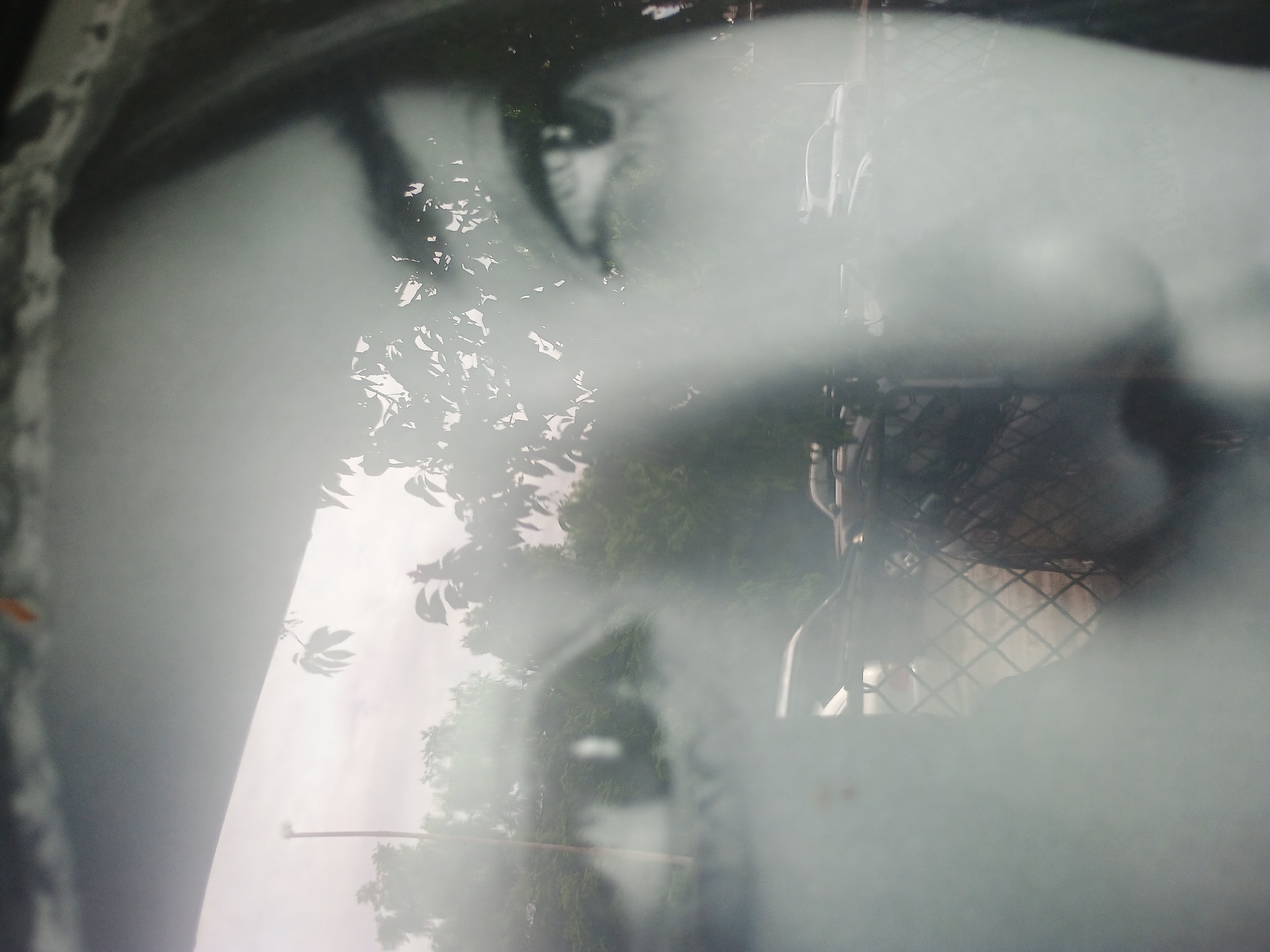 The image is a close-up, partially obscured view of a black-and-white photograph of a person's face, specifically the eye and nose area. Overlaid on the photograph is a reflection of an outdoor scene. This includes tree branches with leaves and what appears to be a vehicle parked along a street. A wire mesh structure is also visible, obscuring part of the face. The location is unknown.