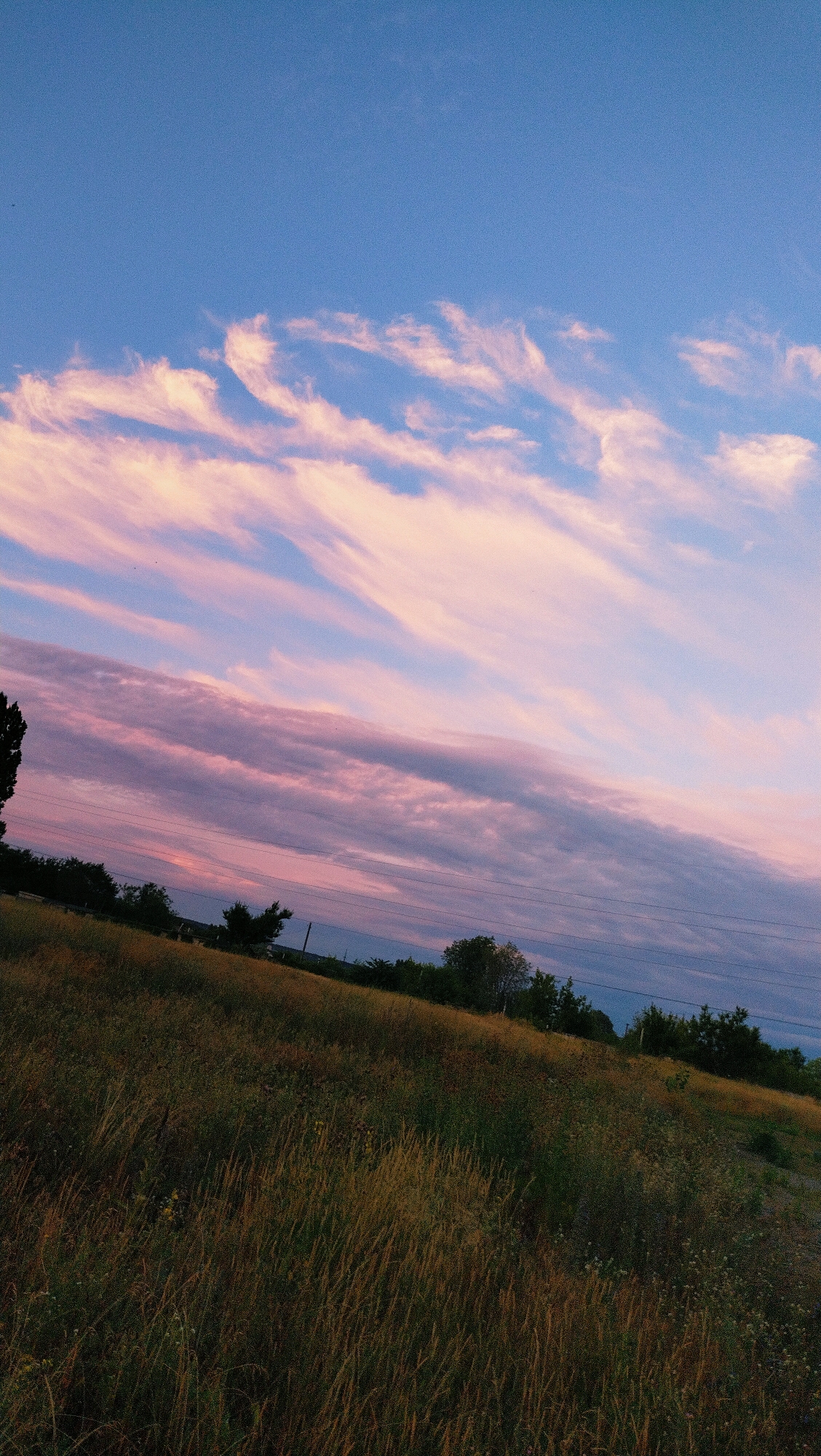 The image depicts an outdoor scene at dusk in the city of Horishni Plavni, Ukraine. The sky is a gradient of deep blue to pale pink and purple, with wispy clouds streaking across it. Below the sky, a sloped field of dry, golden-brown grass fills the foreground. A line of trees and vegetation runs along the horizon, with some scattered structures visible among them. Electrical wires are also visible stretching across the scene. The overall impression is one of a rural landscape bathed in the soft light of sunset.