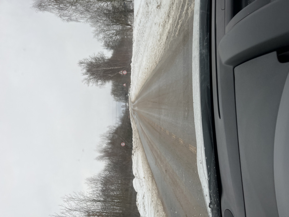 The image depicts a two-lane asphalt road in Rogachovo, Russia, during winter, viewed from the interior of a vehicle looking forward through the windshield. The immediate foreground shows the vehicle's dashboard and the base of the windshield, partially covered with ice or melted snow. The sky is overcast and uniformly gray. The road surface is wet, appears slushy or partially frozen, and is marked with streaks of dirt or sediment. Faint yellow dashed lines are visible in the center of the road, indicating two-way traffic. Snowbanks, discolored with dirt, line both sides of the road. On the left, a dense line of bare deciduous trees and some evergreens parallels the road. A red and white circular prohibitory road sign, resembling "No Entry for Vehicles with Trailer," is mounted on a pole on the left roadside. Further down the road on the right, multiple triangular warning signs with red borders are visible, one depicting a winding road and another possibly indicating a rough road or other hazard. Another circular prohibitory sign is also present on the right. A light-colored vehicle, possibly white, is faintly visible in the distance on the road, moving away from the viewer. Power lines are discernable in the middle distance on the left side, above the trees. No individuals are visible.