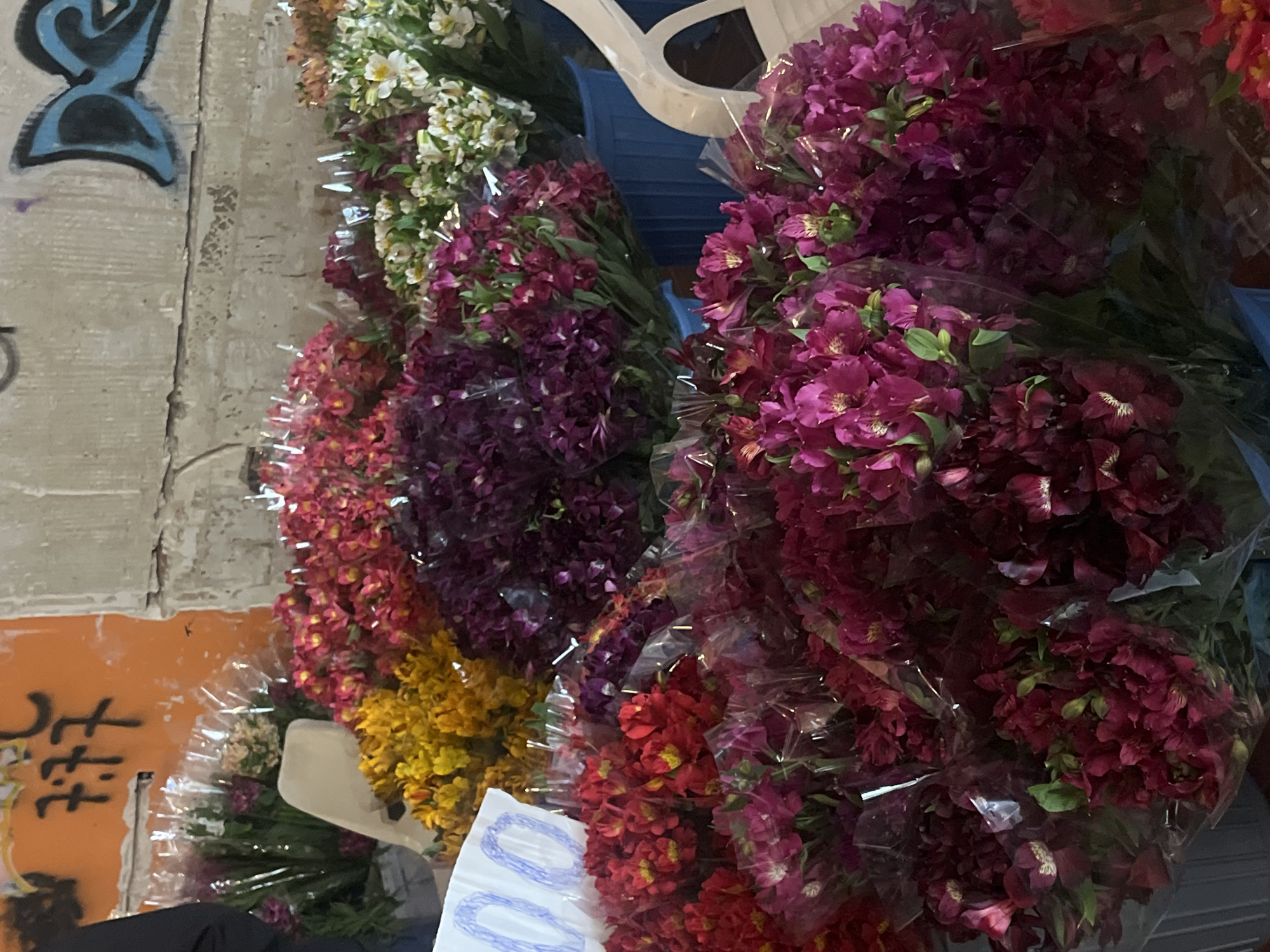 The image captures a vibrant display of numerous flower bouquets, likely at a market stall in Yerevan, Armenia. The scene is dominated by tightly packed bundles of cut flowers, each wrapped in clear plastic, showcasing a rich variety of colors. Prominent shades include bright white, various hues of pink and purple (from magenta to deep violet), sunny yellow, and fiery red.
The flowers are arranged vertically, extending across the frame, with some bundles placed on what appear to be chairs – one white plastic and another blue metal – suggesting a makeshift or informal setup. The background consists of a textured, light-colored wall with visible cracks and some graffiti. On the upper left, blue spray paint forms an abstract design on the wall. Further down and to the left, an orange-painted section of the wall features black graffiti, which appears to be non-Latin script, possibly Arabic or Farsi. In the lower center, a white piece of paper or cardboard shows scribbled blue markings, resembling numbers or looped shapes.
While no people are visible, the arrangement and packaging of the flowers clearly indicate an active sales environment, likely a flower vendor's stand. The lighting suggests daytime, but without direct sunlight, possibly indicating an indoor market, a covered stall, or an overcast day. The overall impression is one of abundance and color, typical of a bustling market setting.
