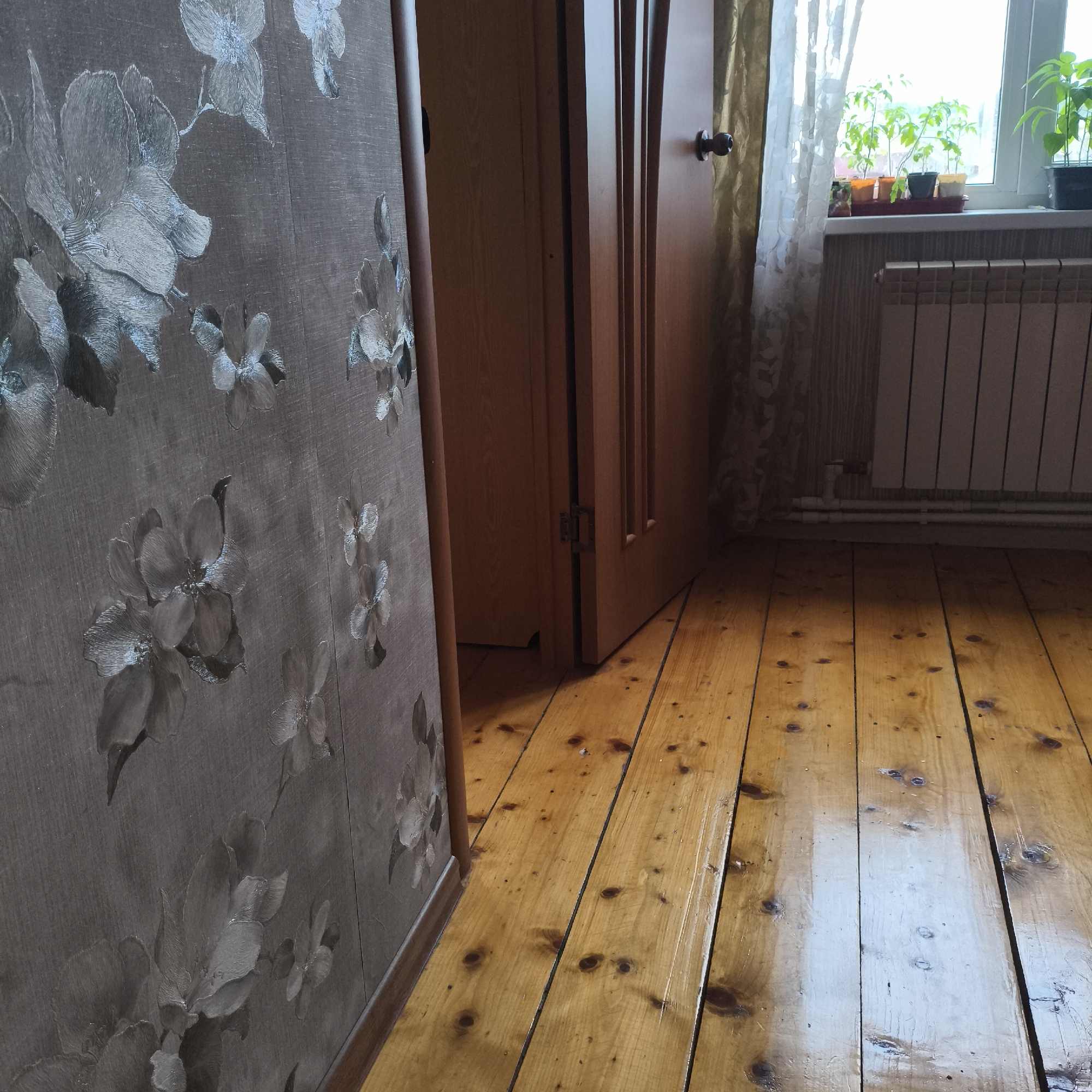 The image shows a portion of a room with wooden floors. A wall with flower-patterned wallpaper is visible on the left. An open wooden door is partially visible, leading into the room. To the right, a window with plants on the windowsill is present, along with a white radiator beneath it. The scene is indoors. The location is Chaikovsky, Russia. There are no people visible in the image.