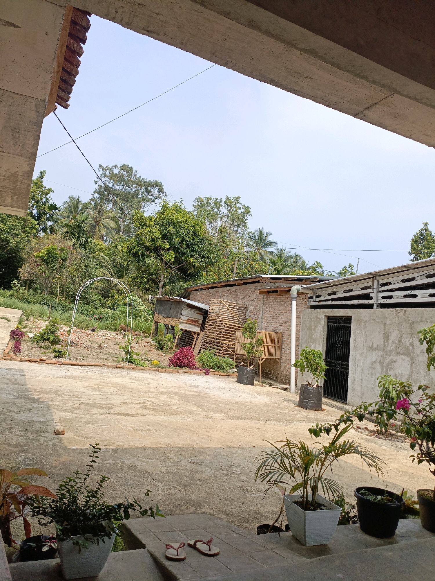 The image depicts a rural or semi-rural outdoor scene, likely in Kota Agung, Indonesia, with a clear sky and lush vegetation. In the foreground, a concrete patio is visible, with several potted plants and a pair of flip-flops. Beyond the patio, a yard area features a white archway, red brick borders, and a small patch of discolored earth. To the right, a brick building with a corrugated metal roof stands adjacent to another structure constructed with concrete walls and a metal roof. A black metal gate is present on the concrete building. In the background, dense green trees and palm trees dominate the landscape, suggesting a tropical environment. The overall impression is one of a humble, perhaps developing, residential or agricultural area.