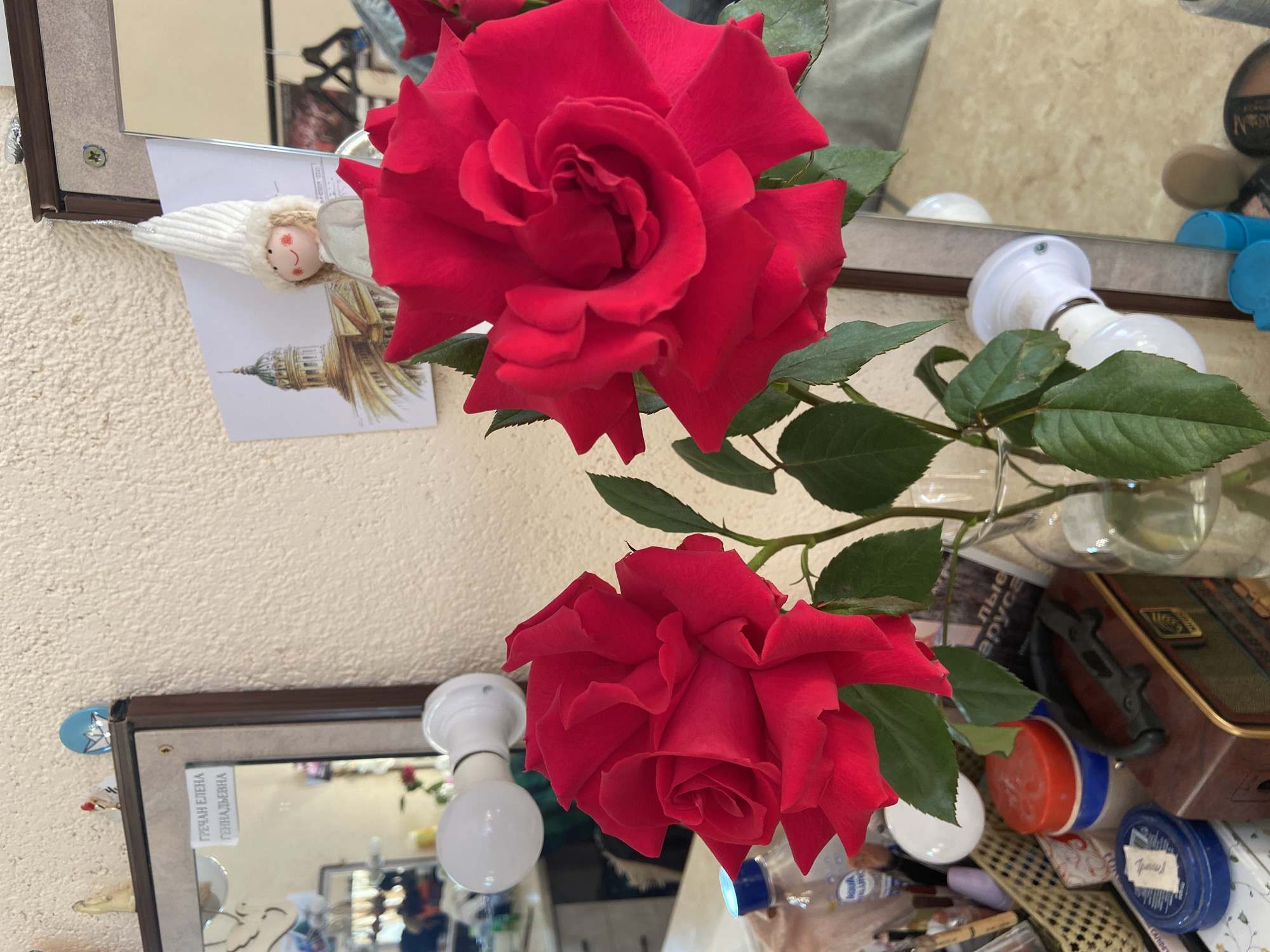 The image shows two red roses in a vase, placed in front of a mirror. An angel doll and a postcard depicting a building are affixed to the wall next to the mirror. The reflection in the mirror shows a cluttered table with various objects including light bulbs, bottles, and a suitcase. The text on the lower mirror identifies the location as Chaikovsky, Russia.