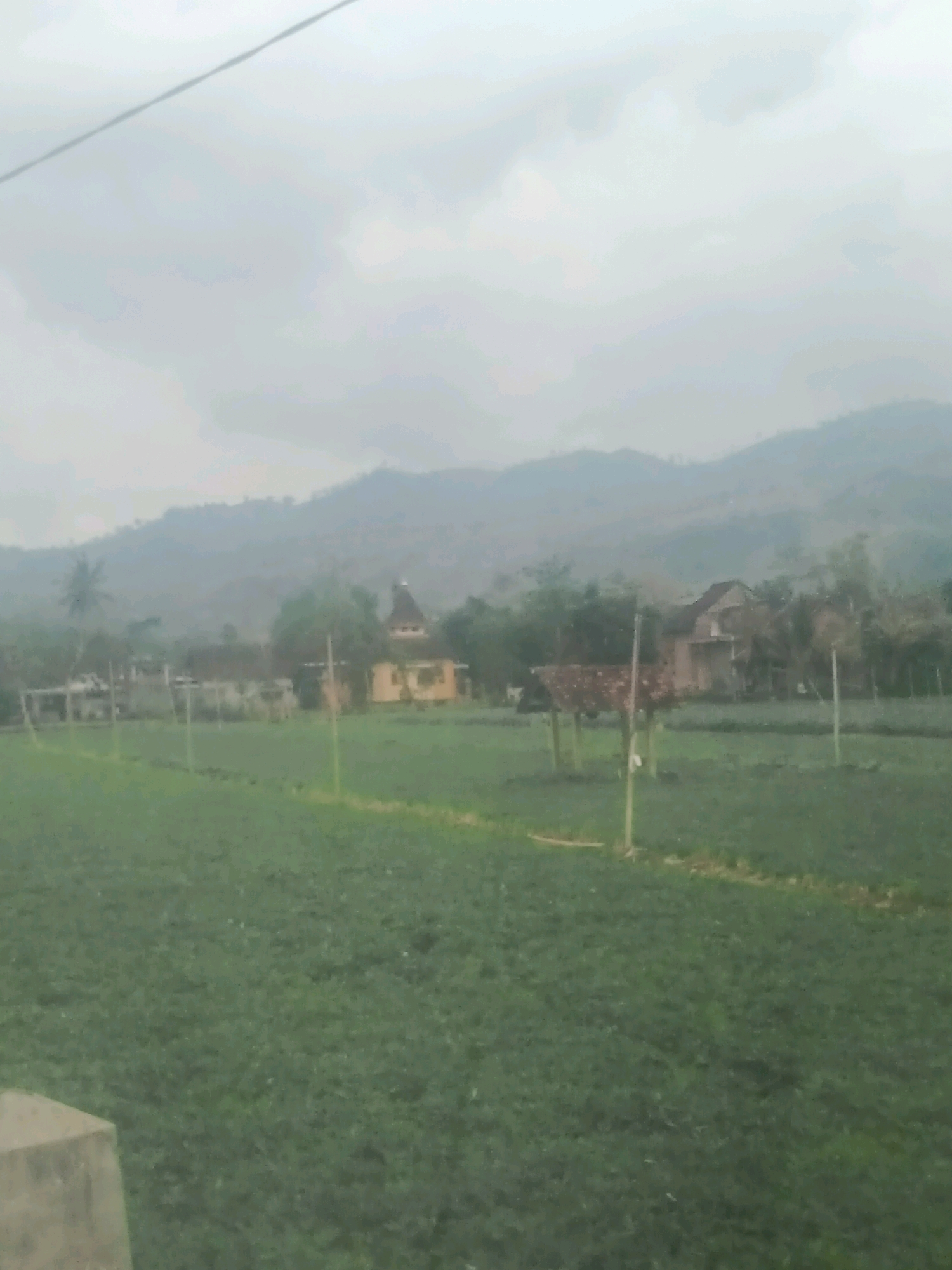 This is a daytime, outdoor, low-resolution, and somewhat blurry image captured at ground level. The scene depicts a rural landscape in Gandusari, Indonesia. A vast expanse of green crops occupies the foreground, suggesting an agricultural area. In the midground, there are several structures, including what appears to be a yellow building with a dome or pointed roof, possibly a mosque or religious structure. Adjacent to this are more simple buildings, and a small, rustic shelter with a thatched roof. The background is dominated by a large, misty mountain range under a cloudy, overcast sky. A power line is visible crossing the upper portion of the image. The overall impression is of a tranquil, rural environment.