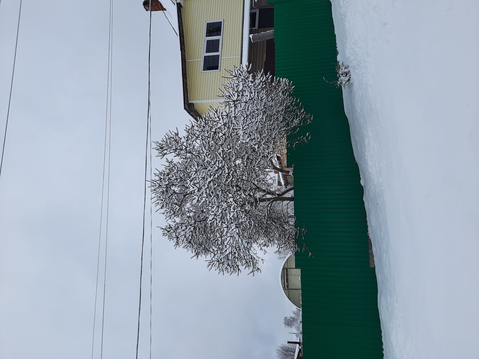The image depicts a winter scene in what appears to be a residential area. A yellow, two-story house with white window frames stands next to a green metal fence. A bare tree covered in snow stands between the house and the fence. Beyond the fence is a snow-covered area. Power lines stretch across the upper portion of the image. The sky is overcast. Based on the prompt, this scene is located in Krasnogorskoye, Russia.