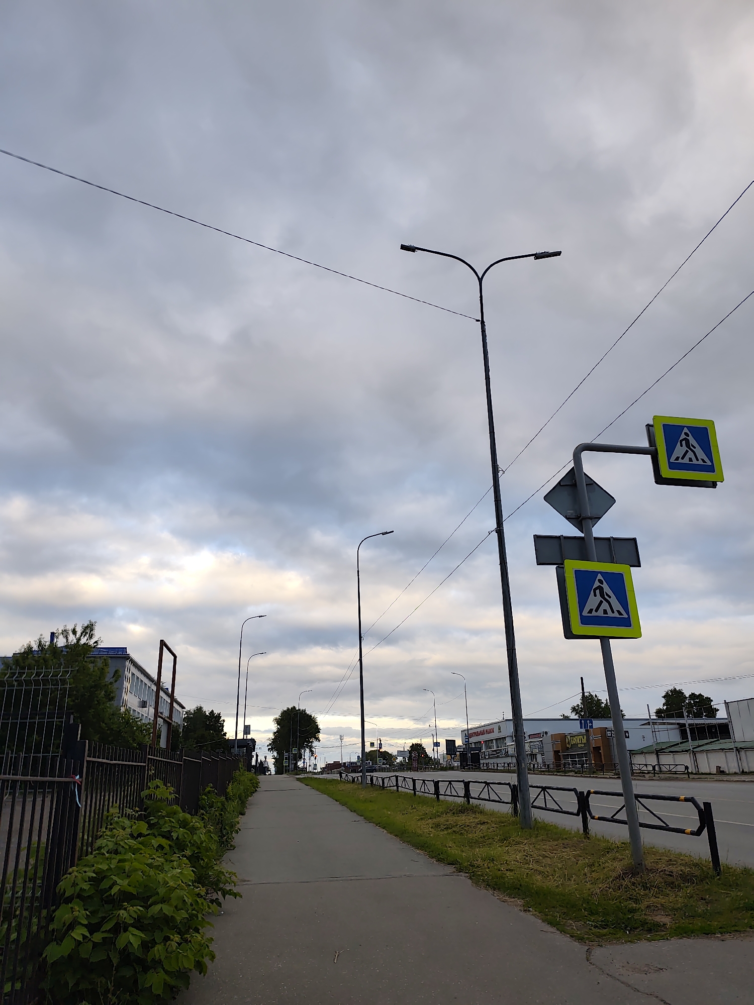 The image captures an urban street scene in Chaikovsky, Russia, specifically along Ulitsa Vokzal'naya, looking eastward towards the Central Market. The sky is largely overcast with stratocumulus clouds, showing some brighter patches towards the horizon on the left.
In the foreground, a dark metal fence lines the left side of a concrete sidewalk. Green foliage and bushes grow densely alongside and partially over the fence, with a small blue, white, and red ribbon tied to one of the fence posts. The sidewalk extends into the distance, narrowing diagonally. To the right of the sidewalk, a strip of mown grass is present, separated from the main road by a black metal barrier with yellow accents. A prominent gray metal pole stands on the right, supporting two blue square pedestrian crossing signs with yellow borders and white walking figures; one is mounted horizontally, and another vertically below it.
The midground features a wide, multi-lane asphalt road, extending into the background. Multiple black streetlights with double-arm fixtures are positioned at intervals along the road. Overhead utility wires crisscross the upper sky. On the left, a multi-story building with a blue roof and light-colored facade is partially visible behind trees and the fence. On the right side of the road, further down, commercial buildings are visible, including one prominently displaying Cyrillic signage for "ЦЕНТРАЛЬНЫЙ РЫНОК" (Central Market) and "БАЛТЫМ". The background shows the street receding with more buildings and sparse tree cover. No people or vehicles are visible in the scene.