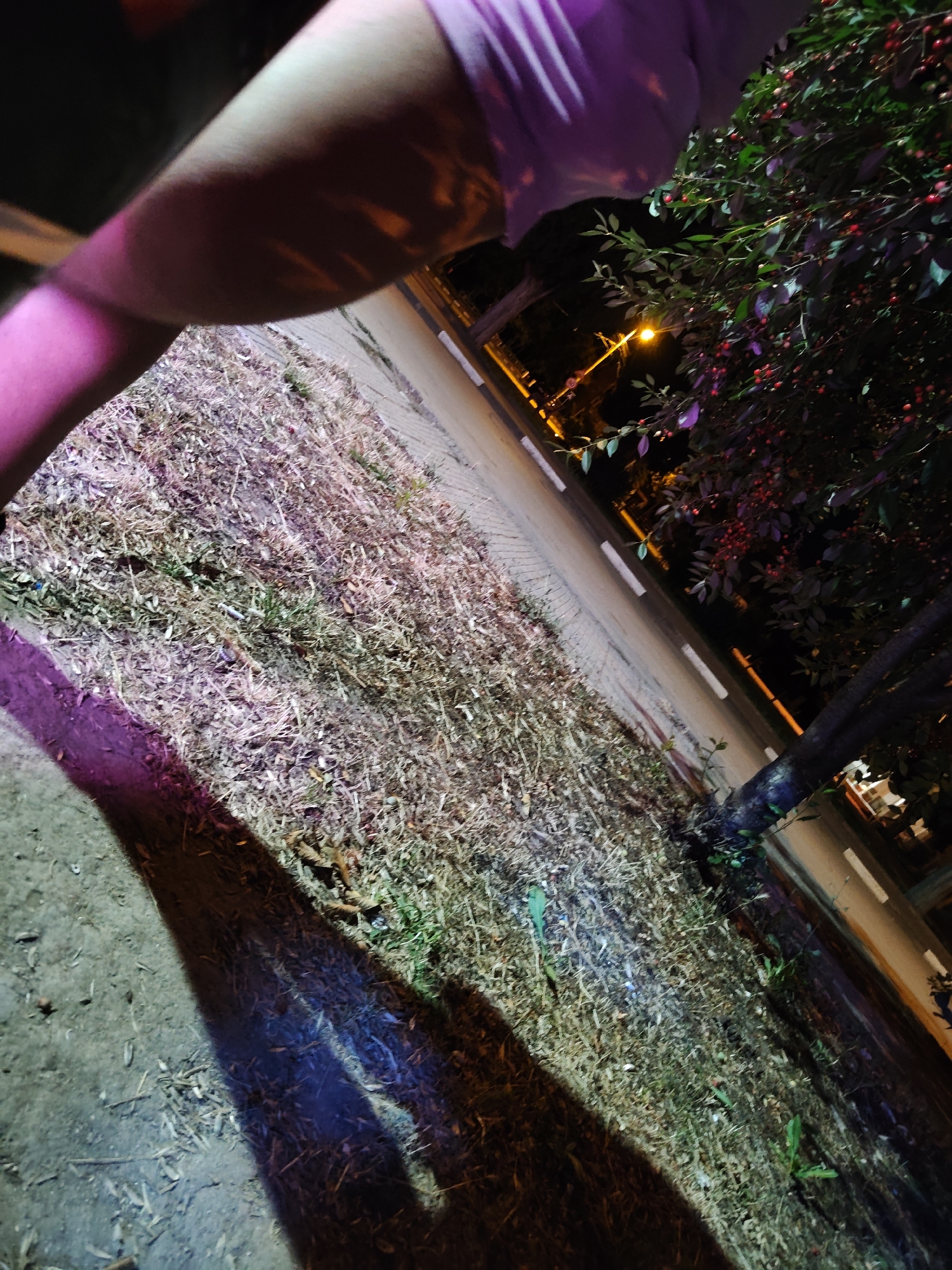 The image depicts a close-up view of a person's upper arm, which is illuminated by colored lights, creating a vibrant pink and purple hue. The arm appears muscular and is draped with a light purple fabric. The background features a dry, grassy area with scattered leaves and debris, suggesting an outdoor environment. A paved path or road with white markings runs diagonally through the scene, bordered by trees and foliage. The lighting indicates it is nighttime, with a streetlamp visible in the distance. The composition and lighting create a dramatic and somewhat abstract effect.