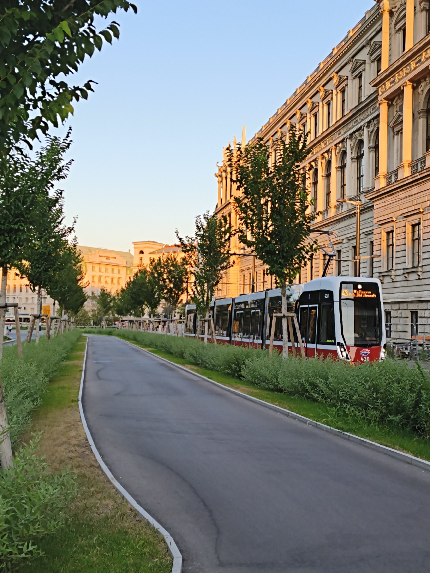 The image depicts a street scene in Vienna, Austria, likely during a late afternoon or early evening with the warm glow of sunset. A modern tram, predominantly white with red accents and displaying the number 430 and the destination "Wien Oper" (Vienna Opera), travels along its tracks. The tram is positioned on the right side of the frame, moving away from the viewer.
To the right of the tram and street is a grand, ornate building with a light-colored facade, characterized by classical architectural elements such as columns, arched windows, and decorative moldings. The sunlight illuminates the building, creating a golden hue.
To the left of the street and tram tracks is a landscaped area featuring a pathway, young trees with protective stakes, and dense green bushes. In the background, across the street from the ornate building, are other buildings, including one with signage that appears to read "BANK AUSTRIA UNICREDIT" and another lighter-colored building with multiple stories. The sky is clear and a pale blue, transitioning to a warmer tone near the horizon. No individuals are clearly discernible within the scene, suggesting the focus is on the urban environment and public transportation.