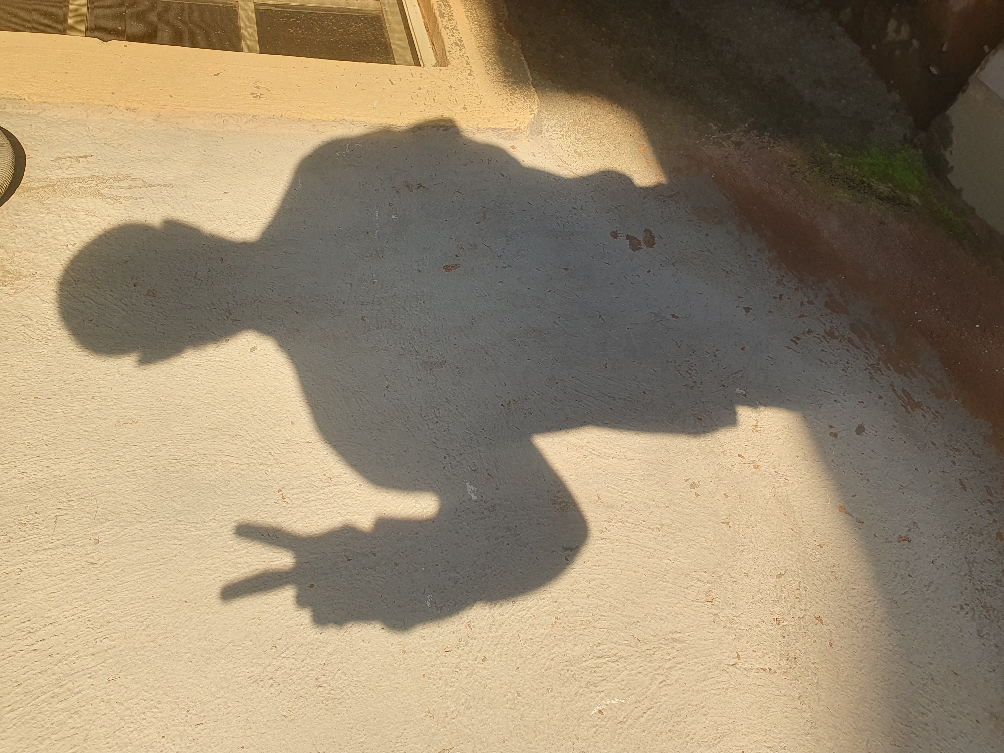 The image depicts a shadow of a person on a textured, cream-colored wall. The shadow is facing left, with its head and torso clearly visible. The person's right hand is raised, forming a peace sign with their index and middle fingers extended. The light source, presumably the sun, is casting the shadow from the left side of the frame, as indicated by the elongated shape and the illumination on the wall. To the right of the shadow, a portion of a window with a screen is visible, set into a darker, rougher wall surface. The ground in front of the wall appears to be a darker, uneven surface with some patches of green growth. The scene is lit by warm, golden sunlight, suggesting it is either early morning or late afternoon. The location is identified as Gura Top, Nigeria.