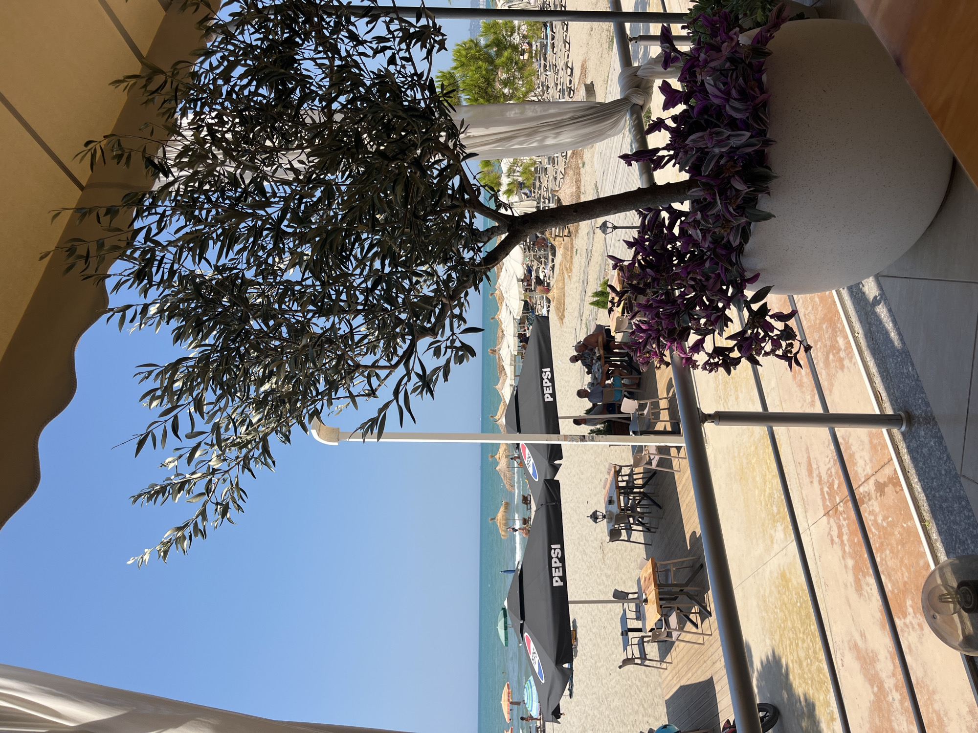 The image depicts a beachfront cafe in Bashkia Durrës, Albania, on a clear, sunny day. In the foreground, a light-colored planter contains a small olive tree and purple-leafed plants. A metal railing runs horizontally across the lower portion of the frame. Beyond the railing, a wooden deck area is visible with tables and chairs. Two large black umbrellas with "PEPSI" logos are prominent on the sand. Further out, numerous beach umbrellas and lounge chairs are scattered across the sandy beach, leading to the calm, blue sea. Several people are seated at tables and on the beach. The sky is a clear, vibrant blue.