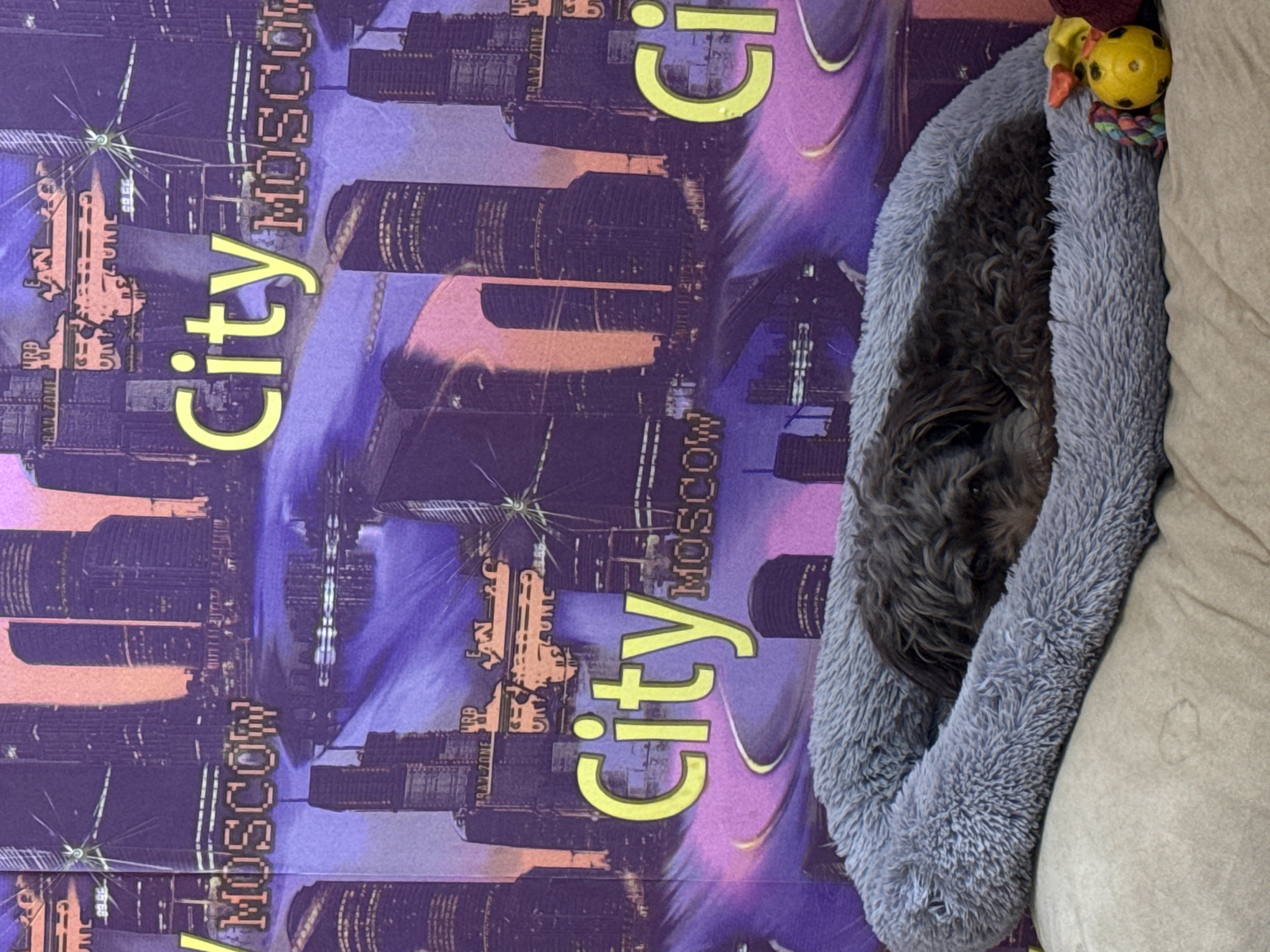 A small, dark-furred dog is nestled deeply within a soft, grey, plush pet bed, appearing to be resting or sleeping. The dog's head is visible, partially obscured by the bed's high sides. Next to the pet bed, on a light-colored pillow or cushion, a yellow ball toy and a colorful rope toy are visible.
The background features a vibrant, purple-toned graphic of a city skyline at what appears to be night or dusk, with illuminated skyscrapers. The entire image is oriented vertically, with the background text rotated 90 degrees clockwise. The prominent text "City MOSCOW" is repeated horizontally across the background, along with smaller, less clear text such as "URBAN ZONE" or "BRAT ZONE" and "URB" incorporated into the building designs. The setting, given the text, evokes a Russian urban environment, specifically Moscow, despite the image being captured in Chaikovsky, Russia. The overall impression is one of comfort and tranquility for the sleeping animal.