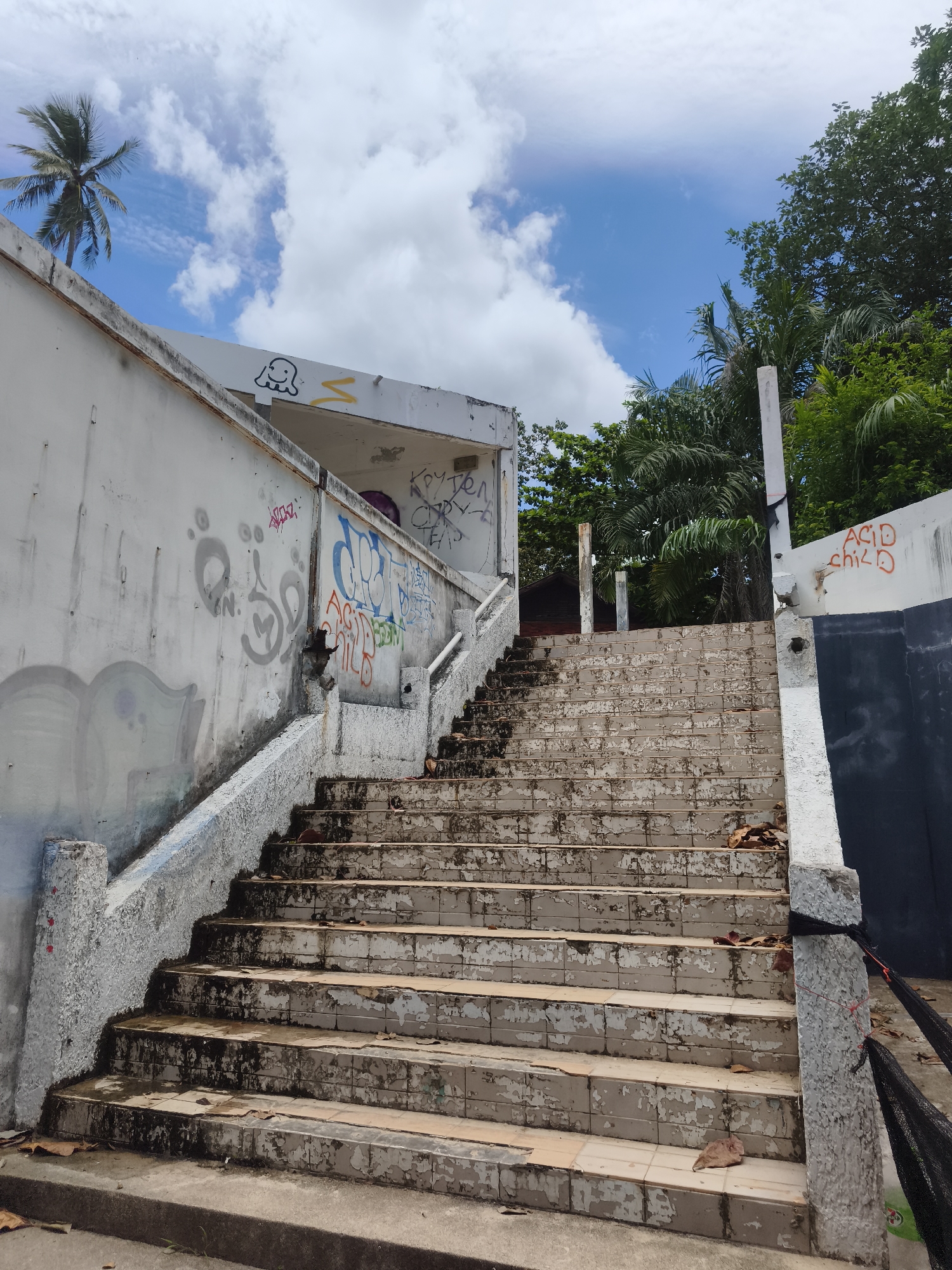 The image shows an outdoor scene in the district of Ko Samui, Thailand. A wide, weathered concrete staircase with peeling tiles dominates the foreground, leading upwards and out of frame. The steps are stained and littered with dry leaves. The staircase is bordered by a rough, textured concrete railing that is also discolored and appears damaged in places. The walls flanking the staircase are covered in graffiti.
To the left, a white wall with various spray-painted tags and figures, including a simple black cartoon octopus. Further up the wall, more colorful graffiti is visible. A palm tree is visible against a bright blue sky with fluffy white clouds.
To the right, a section of wall is painted black. Above this, more graffiti, including the words "ACID CHILD" in orange. Lush green foliage and palm trees are visible in the background, suggesting a tropical environment. The overall impression is one of decay and abandonment, juxtaposed with the vibrant natural surroundings and the persistent presence of graffiti.
