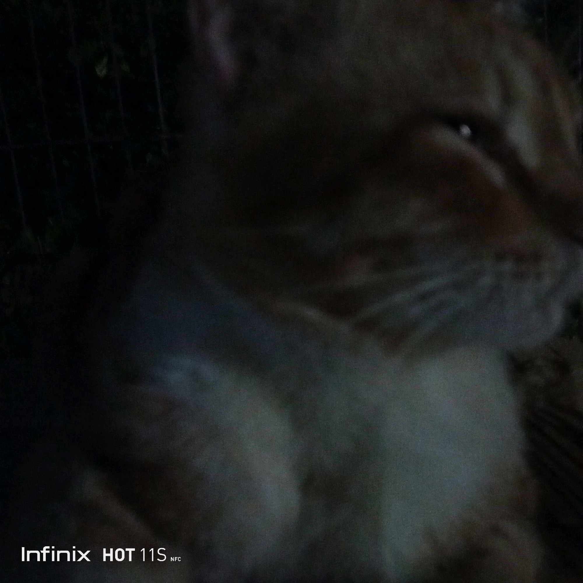 The image is a close-up, low-light photograph of an orange cat's face and upper body. The cat is out of focus, but its fur appears to be a mix of orange and white. The cat's left eye is visible, reflecting a small, bright light. The background is dark and blurry, with hints of vertical lines that might suggest a fence or cage. In the bottom left corner of the image, the text "Infinix HOT 11S NFC" is visible, indicating the device used to take the photo. There is no indication of the location being Sukaslamet, Indonesia.