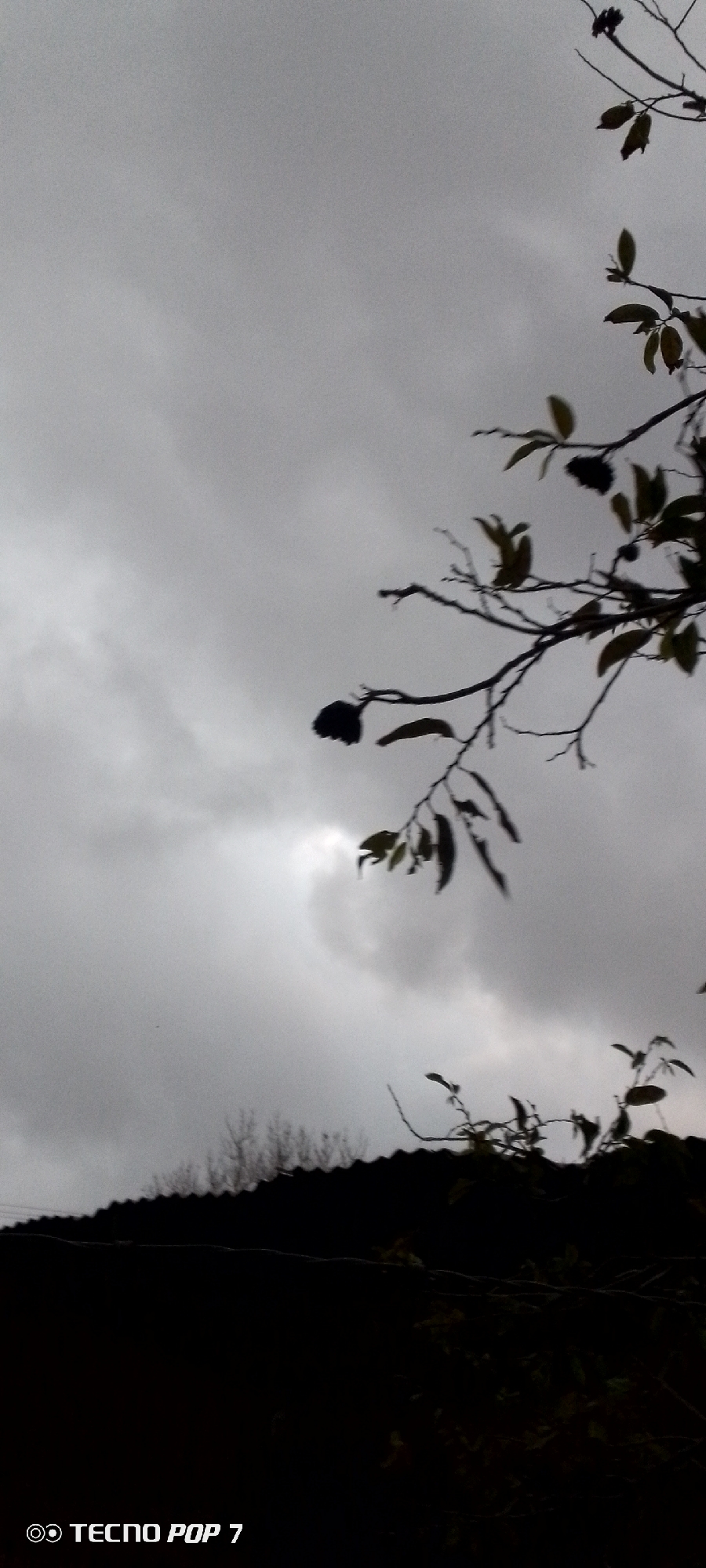The image captures an outdoor scene under an overcast, grey sky in Altagracia, Venezuela. The sky occupies the majority of the frame, filled with dense, uniform clouds. A prominent bright spot, likely the sun heavily obscured by the clouds, appears near the center-left, creating a subtle luminosity.
Several tree branches, some bare and others with sparse, dark leaves, are silhouetted against the cloudy backdrop. A thick branch extends from the upper right, curving downwards with small clusters of leaves. Another, smaller branch with leaves is visible lower down on the right. In the bottom portion of the image, the dark, jagged outline of a roofline is visible, suggesting a building or structure below the trees. The area beneath the roofline is deeply shadowed, appearing almost black.
The scene depicts a gloomy or tranquil daytime, characterized by heavily clouded weather. The visible text "TECNO POP 7" is clearly legible in the bottom left corner, indicating the device used for capture. No human figures or discernible activity are present.