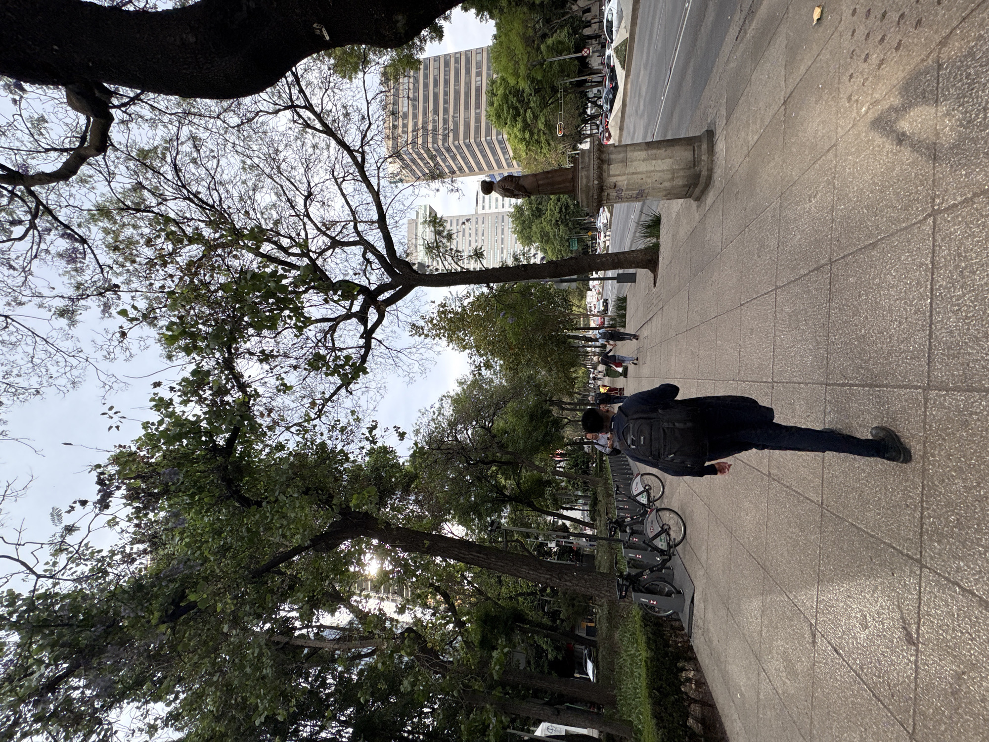 This image captures a vibrant urban street scene, likely a wide sidewalk or promenade, in Mexico City. The perspective is taken as if walking along the path.
In the foreground and extending along the right side, a light-colored, patterned concrete sidewalk is prominent. A person wearing dark attire and a black backpack is captured in mid-stride, walking away from the camera. Alongside the sidewalk, a row of shared bicycles is docked, bearing the "HSBC" logo on their frames, indicating a public bike-sharing service.
To the left of the pedestrian path, a dense line of trees forms a natural boundary, creating a green canopy. Sunlight filters through the foliage, casting long shadows across the sidewalk, suggesting either early morning or late afternoon. Some trees exhibit lush green leaves, while others have more sparse, delicate branches.
Further down the sidewalk, additional people are visible, engaged in walking or standing. In the mid-ground, a statue mounted on a tall, concrete pedestal stands amidst the trees, facing the street. Beyond this green buffer, a multi-lane street with traffic and parked vehicles is visible. In the background, modern, multi-story buildings with numerous windows rise against an overcast yet bright sky, completing the urban landscape. The scene depicts typical daily life in a bustling city environment.