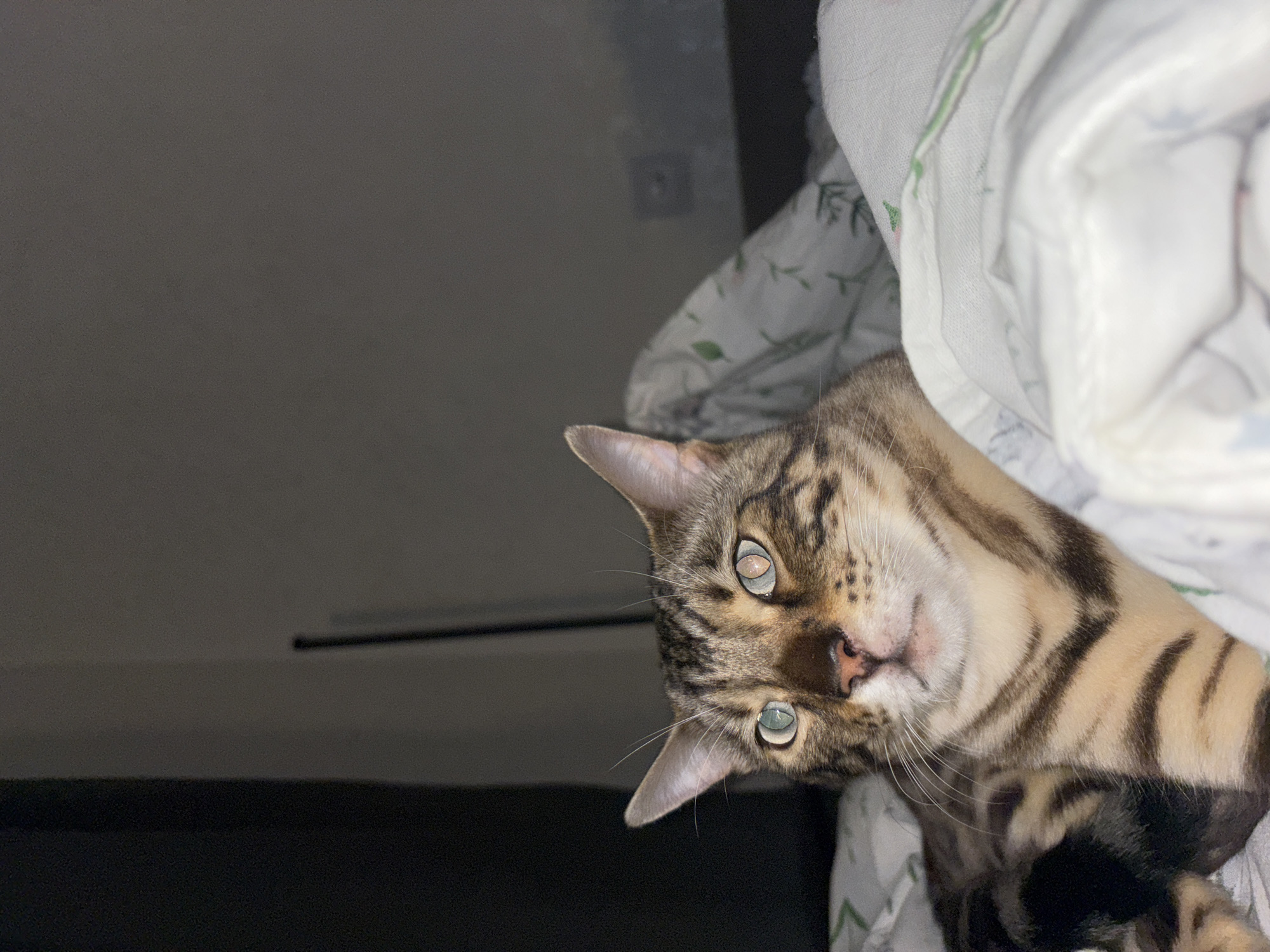 A Bengal cat is lying on a bed covered with white bedding that has a faint green floral pattern. The cat has tabby markings, green eyes, and is looking towards the viewer. The background is dark and out of focus, with a wall and a vertical dark object visible. The scene is indoors.