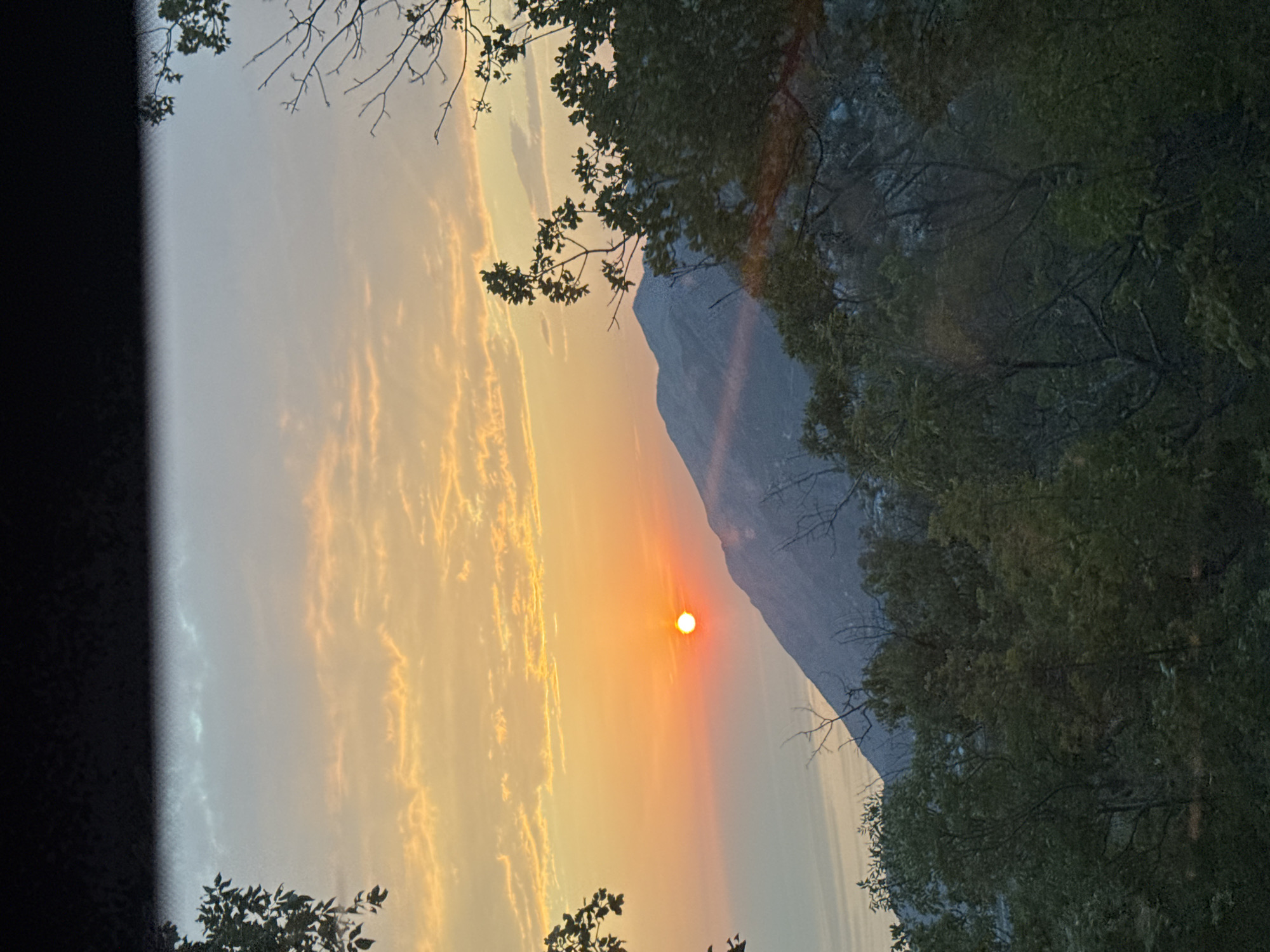 The image captures a sunset over a mountainous landscape, likely near Đurovići, Montenegro. The sun, a bright orange orb, is setting behind a silhouetted mountain range, casting a warm glow across the sky. Wispy clouds are scattered across the upper portion of the frame, tinged with hues of orange and yellow. In the foreground, dark green foliage, including trees with bare branches, frames the scene on both sides. The lower part of the image is dominated by dense vegetation, obscuring the ground and any potential human presence or activity. The overall atmosphere is serene and natural, devoid of any discernible human subjects or interactions.