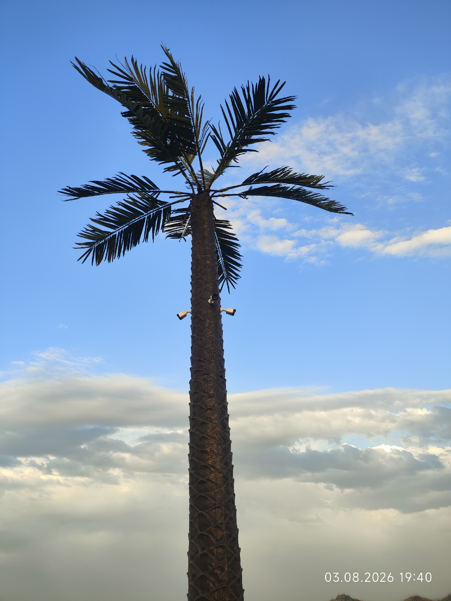 An outdoor, medium-shot, eye-level, vertical photograph features a tall, artificial palm tree set against a bright blue sky with scattered clouds. The tree trunk is dark brown and textured, designed to mimic bark. Two visible security cameras are mounted on the trunk. The fronds at the top of the tree are dark green and spread out. The bottom right corner of the image displays a date and time stamp: "03.08.2026 19:40". The scene appears to be located in Balykchy, Kyrgyzstan, a city situated on the western shore of Issyk-Kul Lake.
