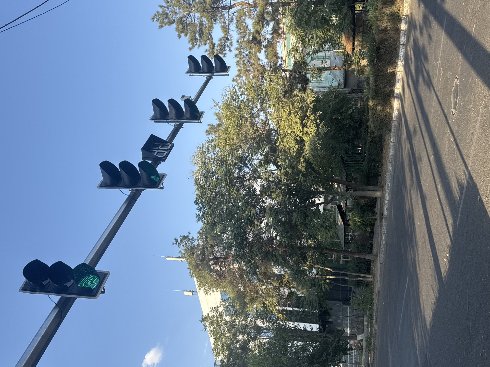 The image shows a street scene in Bishkek, Kyrgyzstan, with traffic lights and trees lining the road. The traffic lights are suspended from an overhead beam, and they are all green, indicating that traffic can proceed. Several trees are visible, casting shadows on the road. In the background, there are buildings, one of which appears to be a modern office building, and another that looks older with a light blue facade. There are also some smaller structures, possibly kiosks or gazebos, nestled among the trees. The sky is clear and blue, suggesting it is a sunny day. No people are visible in the image.