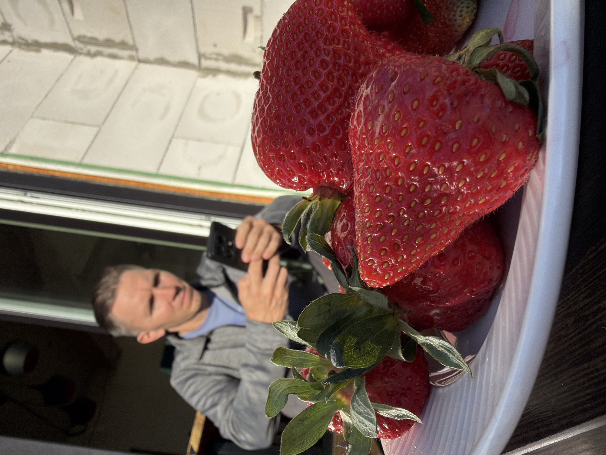 A man is photographing a bowl of strawberries with his smartphone in Steklyannyi, Russia. He is wearing a light blue shirt and a light gray jacket. The strawberries are large and red, and some have green leaves. The bowl is white and appears to be plastic. The background includes a window and a tiled surface. The overall scene appears to be outdoors in sunlight.
