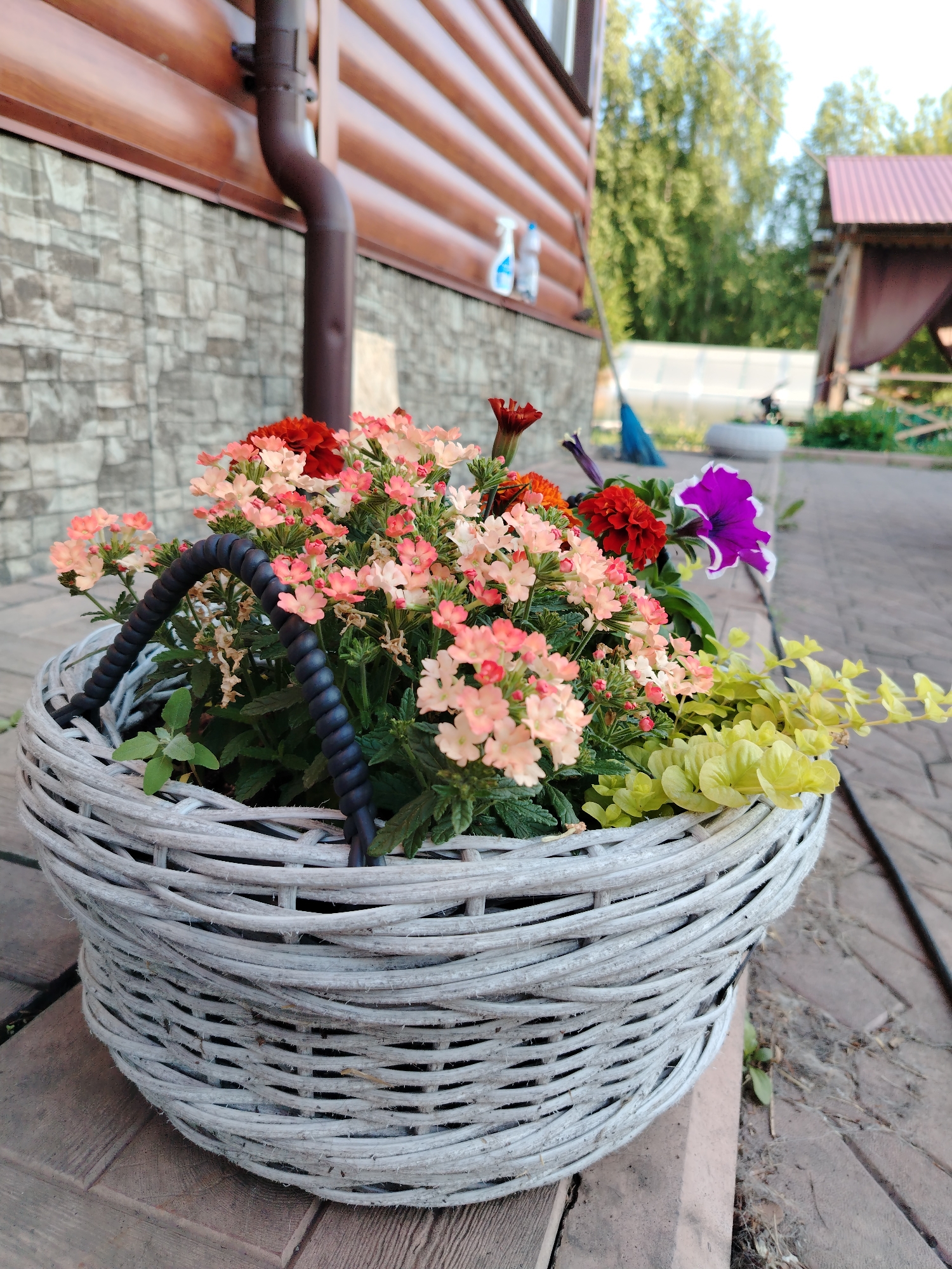 A white woven basket filled with pink and red flowers, and yellow foliage sits on a paved patio. The basket has two black handles. Behind the basket, a brown wooden house with a stone foundation is visible. A brown gutter runs down the side of the house. In the background, trees and a red-roofed gazebo can be seen. The scene appears to be in a residential outdoor setting, possibly a backyard in the city of Рассвет, Russia. There are no people or animals in the image.