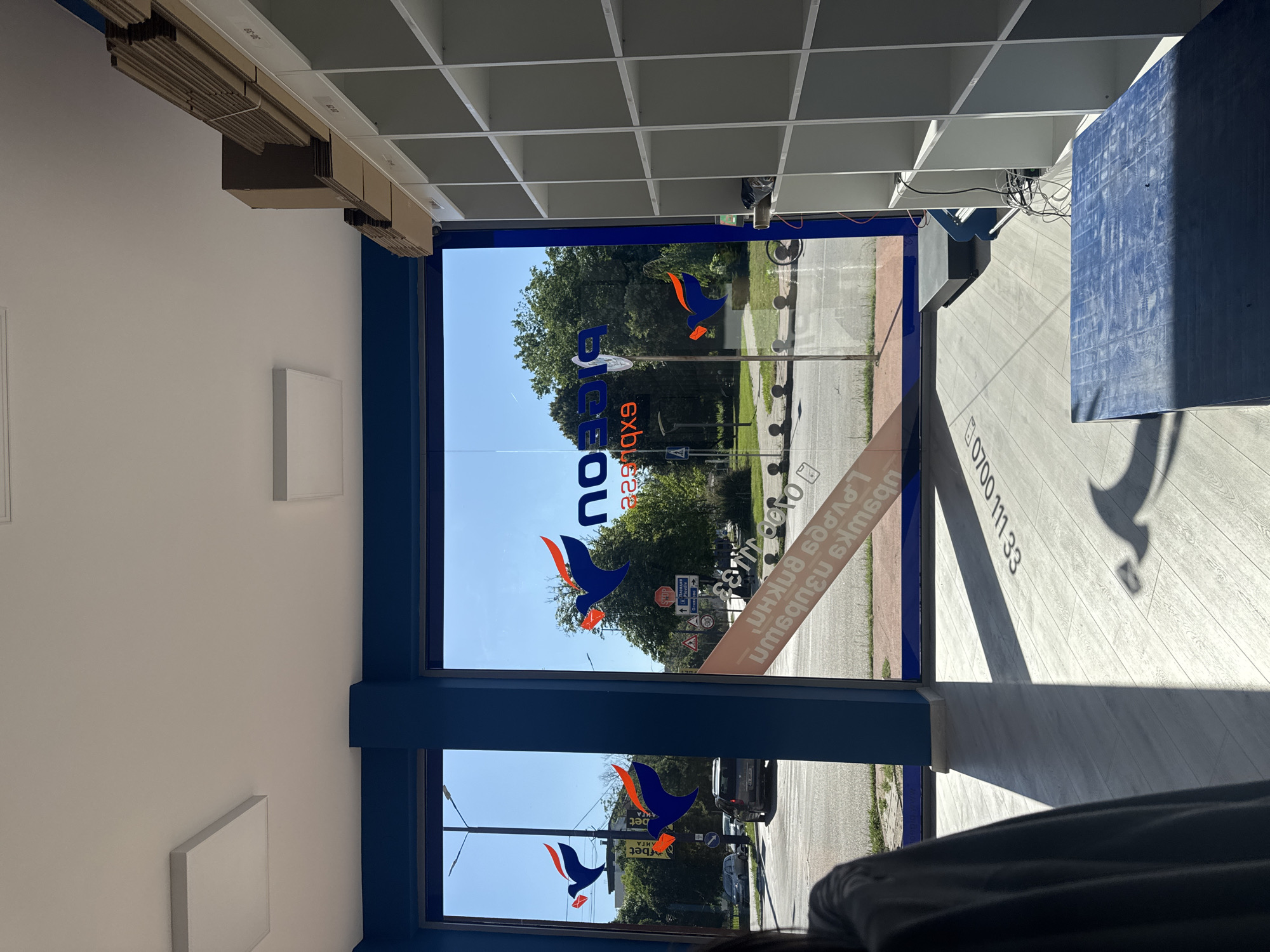 The image shows the interior of a courier service branch, likely a "Speedy" or similar company, indicated by the bird logo and branding on the window. The location is Pazardzhik, Bulgaria, as suggested by the visible street signs showing "Pazardzhik" and directional arrows.
Inside, the space features a large window overlooking a street with trees and parked cars. The window has blue frames and displays logos of the courier company. On the right side of the interior, there is a shelving unit with multiple empty compartments, possibly for package storage. Cardboard boxes are stacked on top of this unit.
The floor is light-colored laminate. In the foreground, there's a dark blue platform or bench. Shadows from the window and objects are cast across the floor. A person's back is visible in the lower left corner, partially obscured by a dark garment. A few cables and electronic devices are visible near the shelving unit. The overall scene suggests a retail or service environment that is either new or has undergone recent setup.
