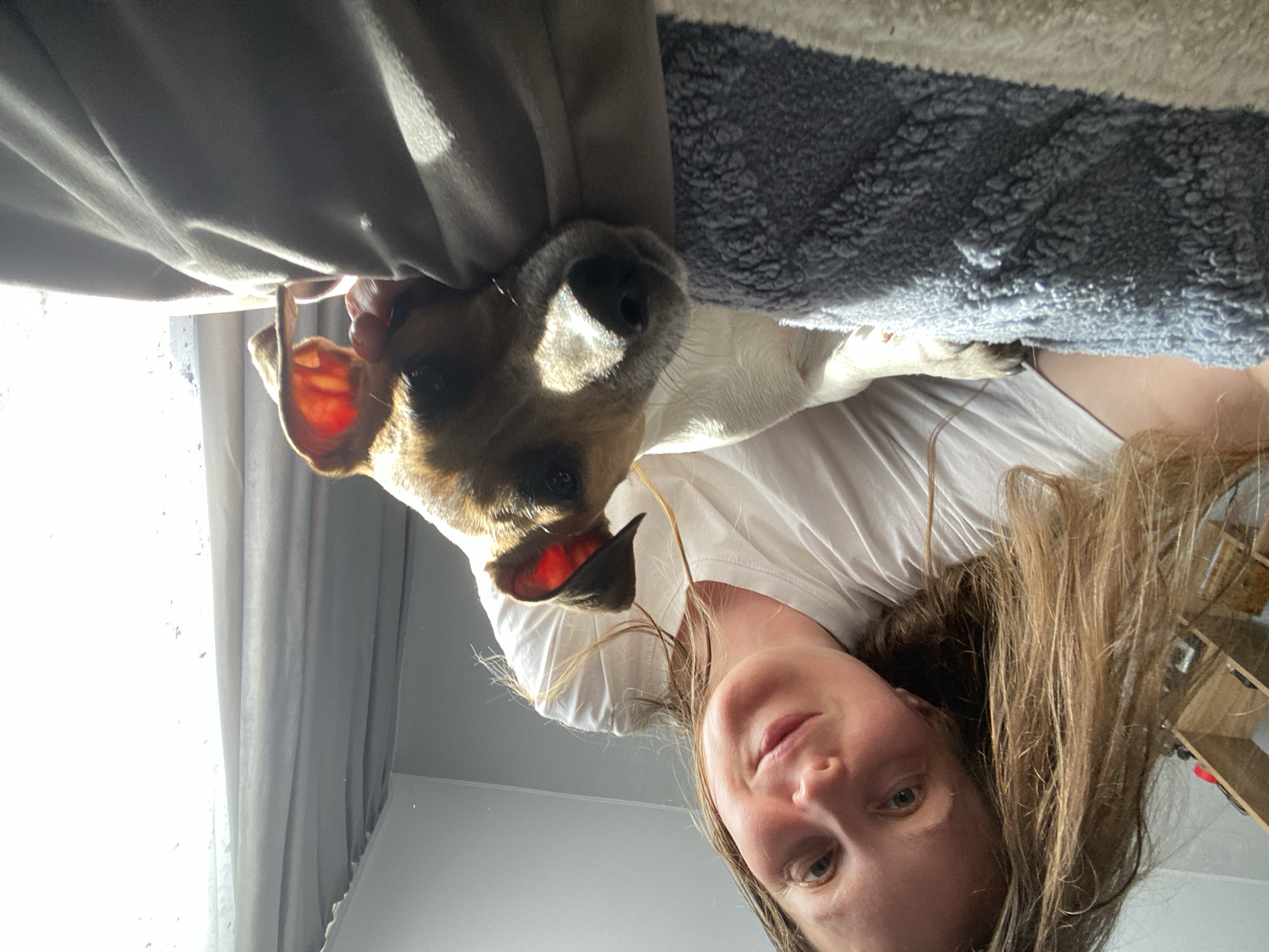 A woman and a dog are positioned close to each other, possibly lying down. The woman is wearing a white t-shirt. The dog is a small breed, with brown and white fur and visible ears. The background includes a blanket with a textured pattern, a window with curtains, and a blurred view of a wooden shelf. The location of Noviy, Russia cannot be determined from the image.