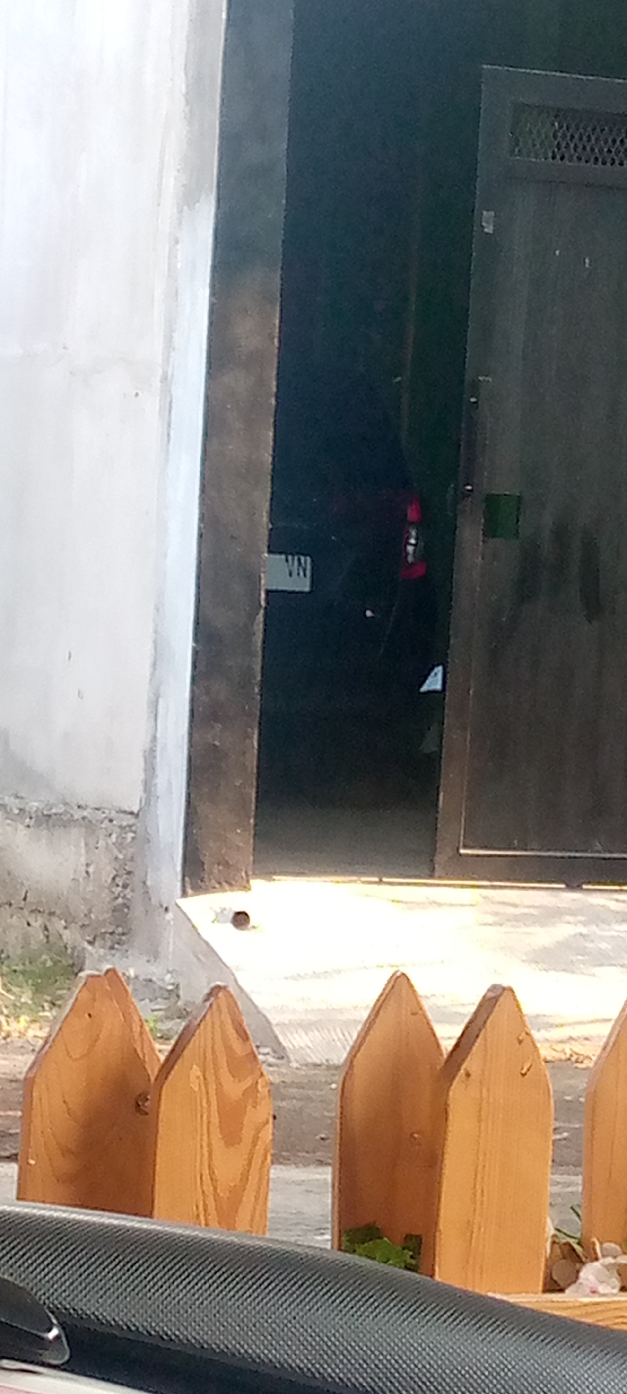 A dark colored vehicle, partially obscured by shadow, is visible inside a dimly lit garage or entryway. A white license plate with the letters "VN" is affixed to the vehicle. The entryway appears to be part of a building with a concrete wall to the left and a dark door or gate to the right. In the foreground, a section of a carbon fiber textured object, possibly part of a vehicle or furniture, is visible. Behind this object, a portion of a wooden picket fence with pointed tops is present. The ground surface is a light-colored concrete. The scene is outdoors, with natural lighting illuminating parts of the foreground and the entryway floor. No individuals are directly visible in the frame. The location is specified as Sumberwono, Indonesia.