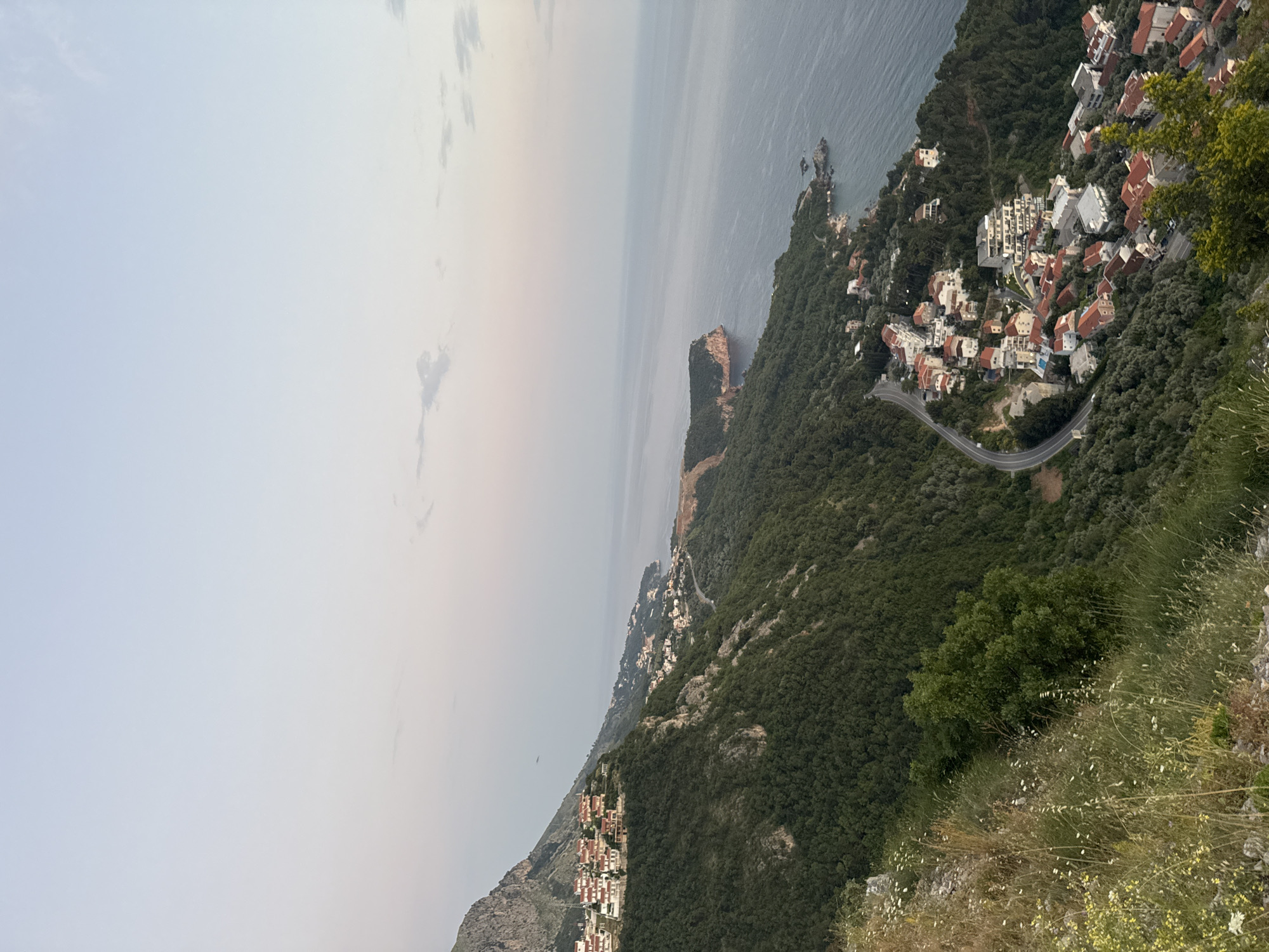 The image shows a mountainous coastline along the Adriatic Sea, likely near Sveti Stefan, Montenegro. A dense forest covers the slopes leading down to the sea, with houses scattered throughout and a winding road connecting them. The sky is overcast, giving the scene a muted, hazy quality. The coastline features rocky cliffs and small islands. In the foreground, there's rough terrain with shrubs and grasses, suggesting a vantage point from a higher elevation.