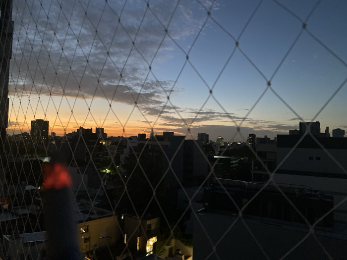 A twilight cityscape is viewed through a safety net. Silhouetted buildings dot the horizon under a gradient sky of orange, pink, and blue hues. Low-rise structures and trees are visible in the foreground. The net dominates the view, creating a mesh-like pattern. In the lower left corner, a blurry object with a red glow is partially visible.