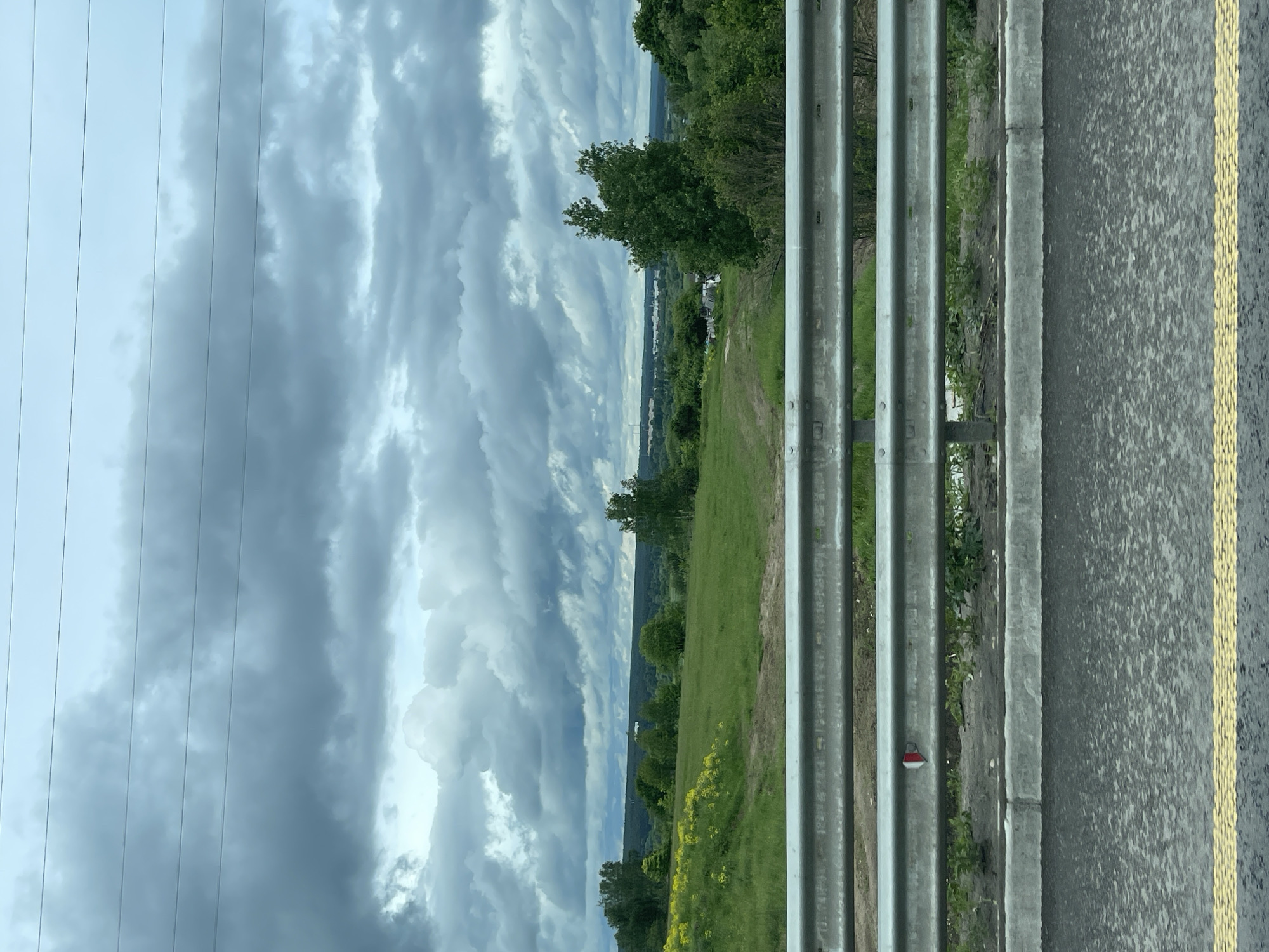 The image presents a roadside scene, likely taken from a moving vehicle. The perspective is horizontal. A gray metal guardrail dominates the foreground, running parallel to the viewer. Adjacent to the guardrail is an asphalt road with a yellow lane marking. Beyond the guardrail, there's a stretch of green field dotted with trees and some yellow flowers. In the distance, there is a landscape with trees. The sky is overcast with heavy, gray clouds. There are power lines visible against the cloudy sky. Based on the location data, the photo may have been taken in Taraskovo, Russia.