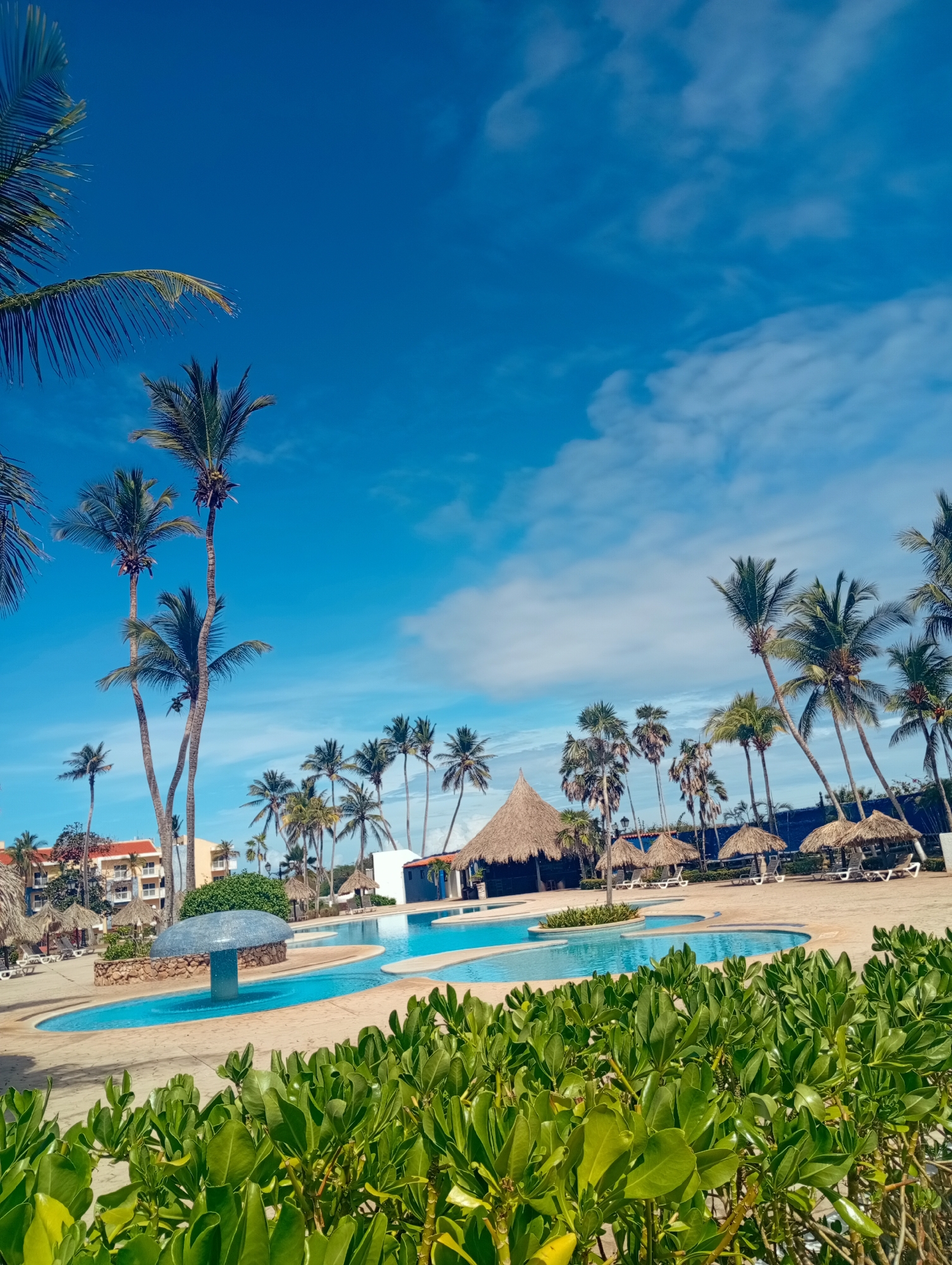 A tropical resort in Playa El Agua, Venezuela, is shown on a sunny day. The scene features multiple interconnected swimming pools surrounded by light-colored concrete paving, with a raised island in one pool. Several palm trees are seen around the pools and blue-domed fountains, thatched-roof huts and lounge chairs are interspersed. In the foreground, there is a dense cluster of green plants. The sky is predominantly blue with scattered white clouds. No people are visible in the frame.