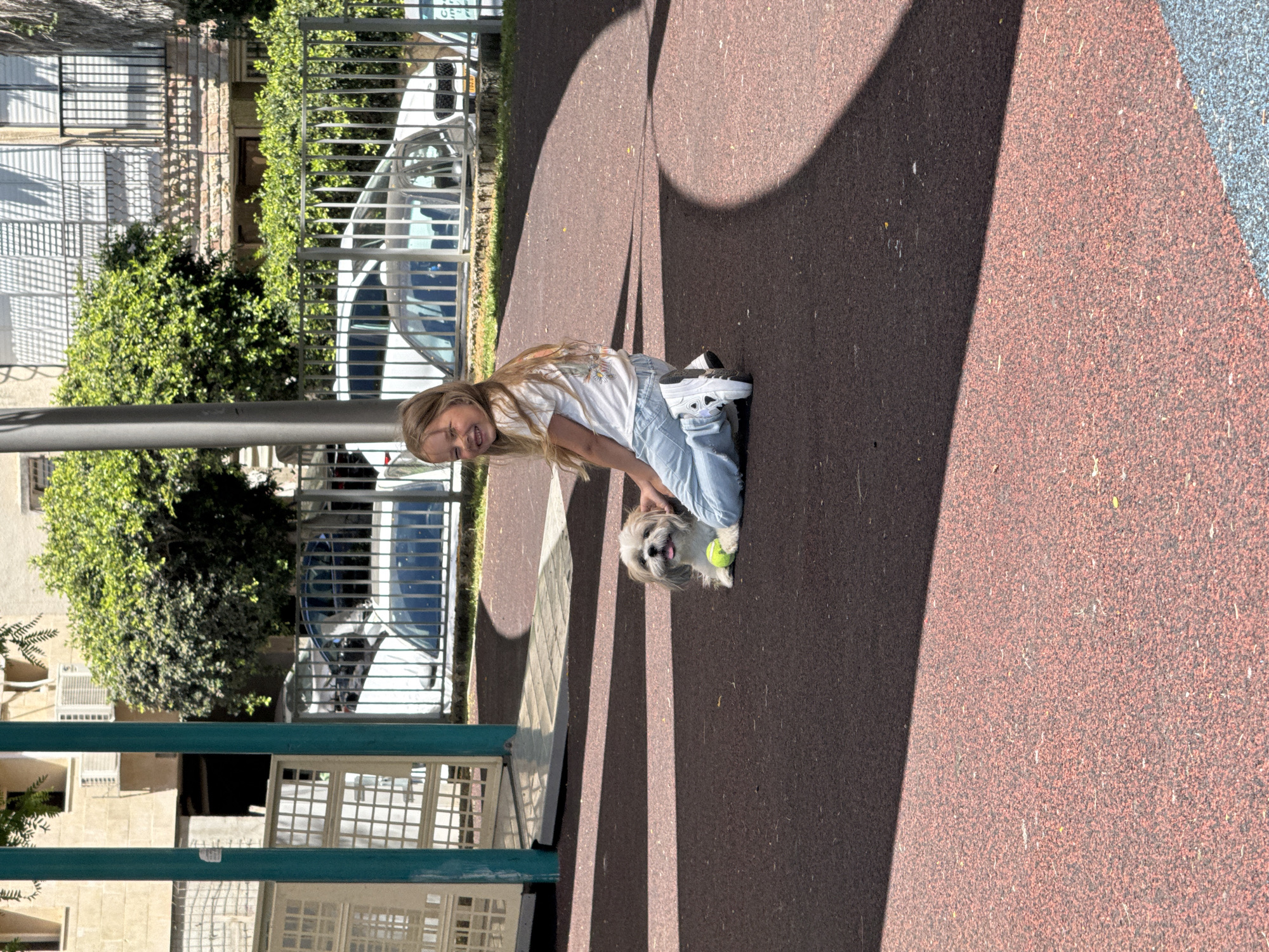 A young Caucasian girl with long blonde hair is kneeling on a dark red rubberized surface in a park. She is wearing a white t-shirt with a floral design and ripped light blue jeans, along with white sneakers. The girl is smiling and looking towards the camera, her left hand resting on a small, light-colored dog sitting next to her. The dog, possibly a Shih Tzu, has a tennis ball in front of it. The background shows a metal fence, parked cars, trees, and a building with shutters. The scene is lit by sunlight, casting shadows on the ground.