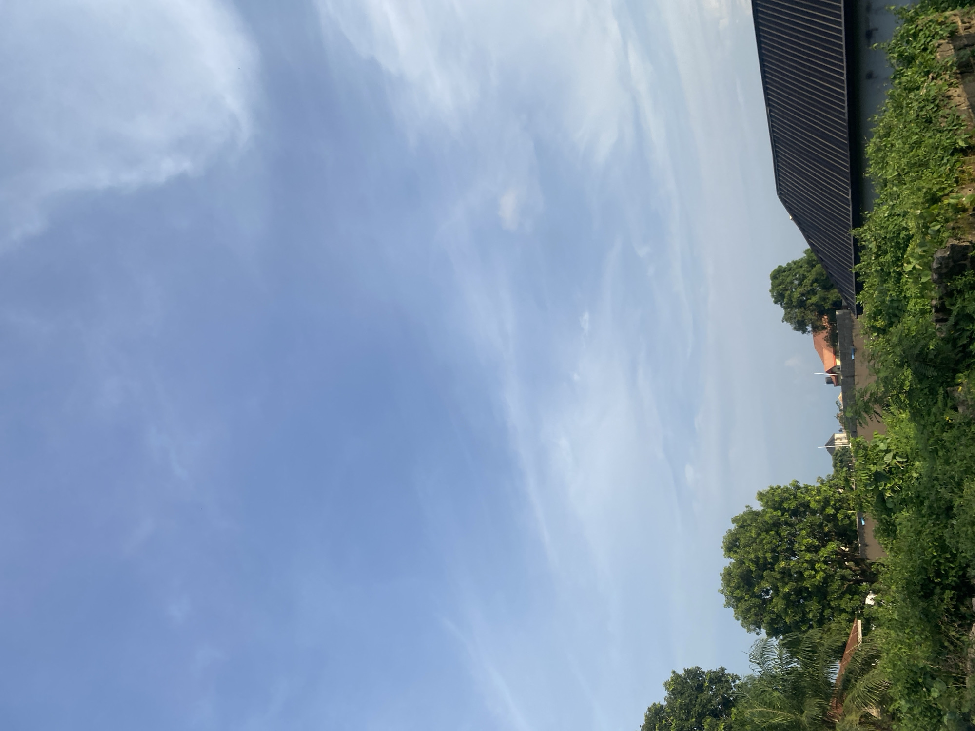The image displays an outdoor scene under a vast, bright blue sky with scattered, wispy white clouds. The original image is oriented vertically, with the sky occupying the majority of the left side and the ground-level elements appearing on the right side.
When viewed upright, the sky dominates the upper and left portions of the frame, showcasing a clear day with high-altitude, thin cloud formations. On the right and lower right side, there is a dense line of lush green foliage, consisting of various trees and bushes. Above this greenery, a dark-colored, possibly corrugated metal, roof of a building stretches diagonally across the upper right, featuring distinct horizontal lines or panels. Further in the background, partially obscured by the trees, are hints of other buildings with reddish-brown roofs, suggesting residential structures.
The scene is well-lit by natural sunlight, indicating it is daytime. The weather appears fair and clear. No people or specific activities are visible within the frame. There is no discernible text. The image presents a quiet, natural landscape with some built structures, aligning with a potential view in Sasaro, Nigeria.