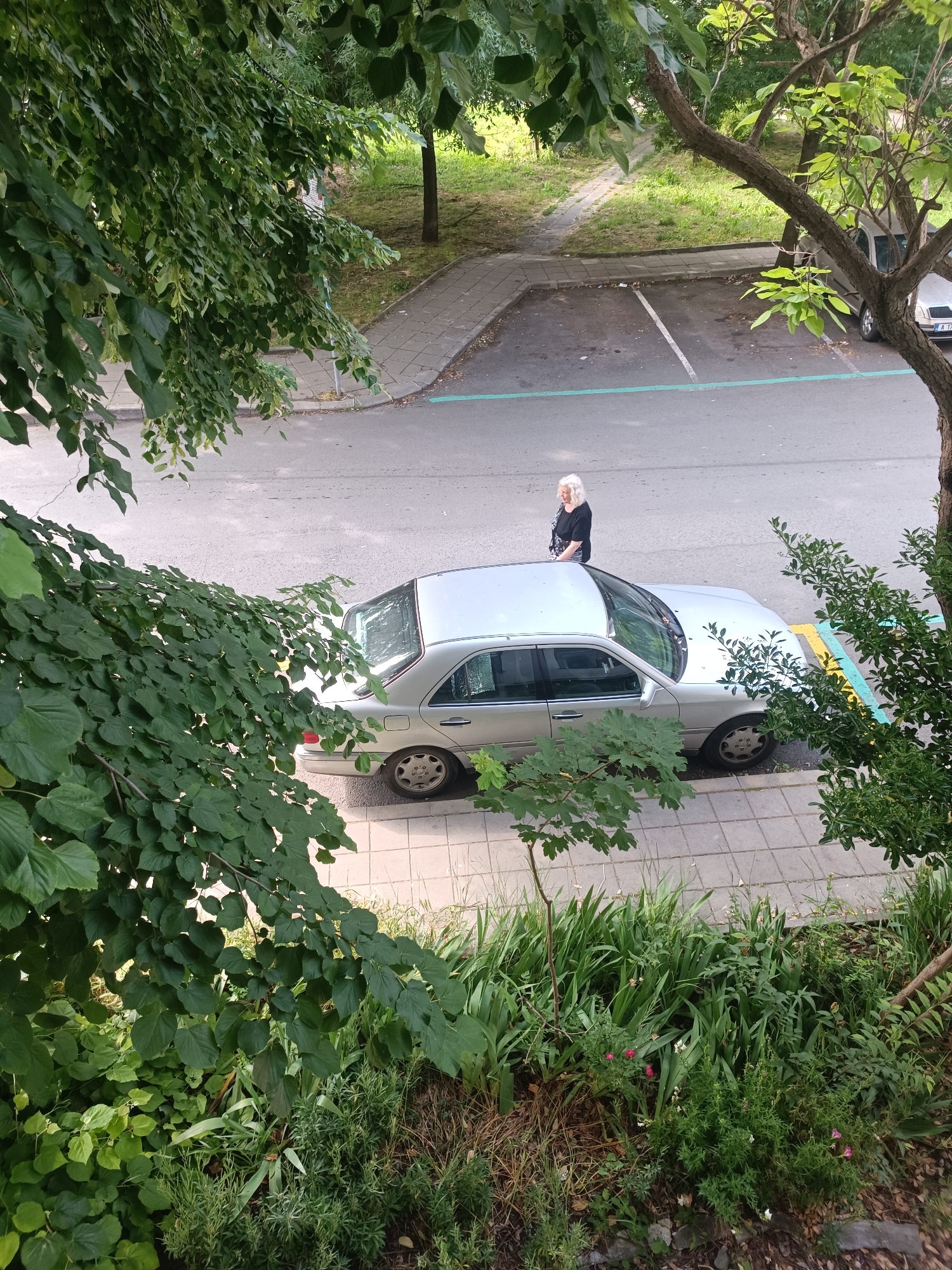 An aerial view captures a street scene in Burgas, Bulgaria, with a woman standing next to a parked silver sedan on the asphalt. The car is positioned in a parking space marked by white lines on the road, with a distinctive turquoise line along the edge of the parking area. The woman, with white hair, wears a black cardigan over a patterned top. Lush green foliage from trees partially obscures the view, with branches and leaves framing the composition from the foreground and sides. A tiled sidewalk runs alongside the road, and beyond that, a grassy embankment with a pathway is visible. The scene appears to be an outdoor urban setting, possibly a residential street or a parking lot adjacent to a green area.