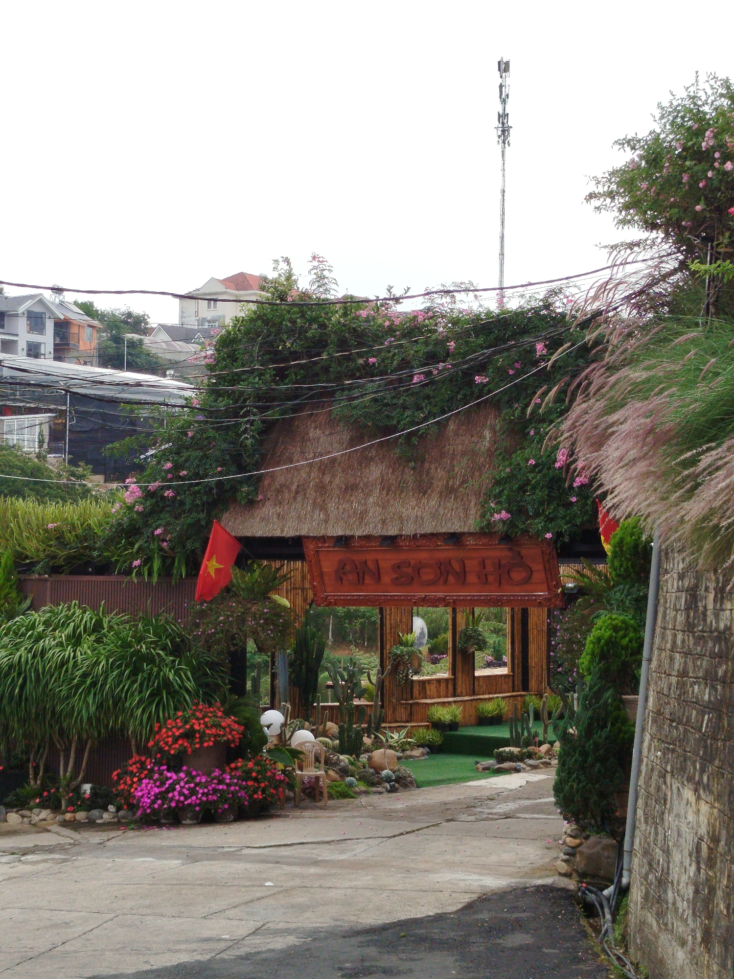 A street view in Da Lat, Vietnam features a thatched-roof archway entrance marked "AN SON HO" in red lettering. Pink flowers and greenery adorn the roof and sides of the archway, which is constructed of bamboo. A Vietnamese flag is on the left and partially on the right. The entrance leads to a landscaped area with cacti, various plants, and a decorative bench. The street in the foreground is concrete with visible cracks. A stone wall lines the right side of the street. Buildings are visible in the background, and a tall telecommunications tower rises above the scene. Electrical lines are strung across the sky.
